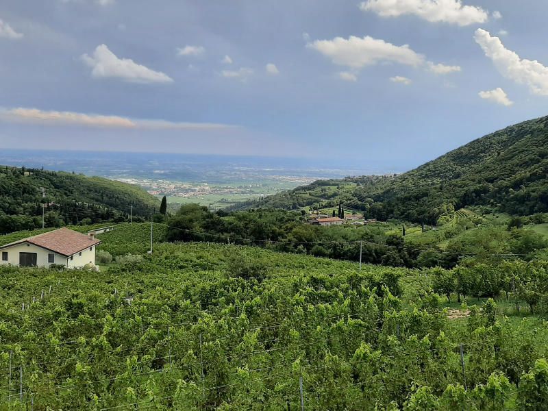 Geweldig uitzicht in de Valpolicella wijnstreek