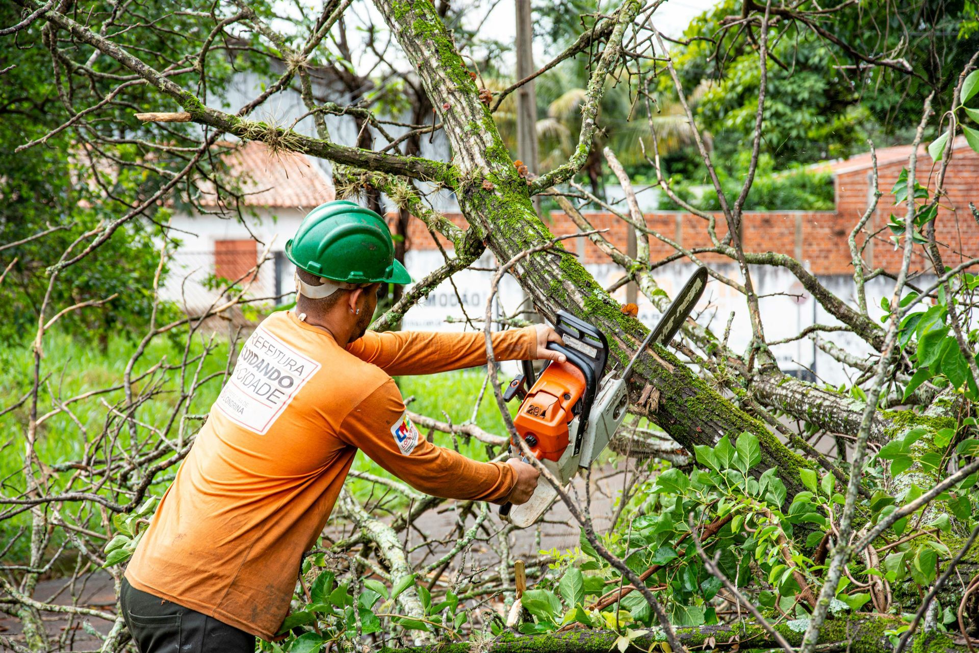 A man in an orange shirt and green helmet cuts a tree branch with a chainsaw.