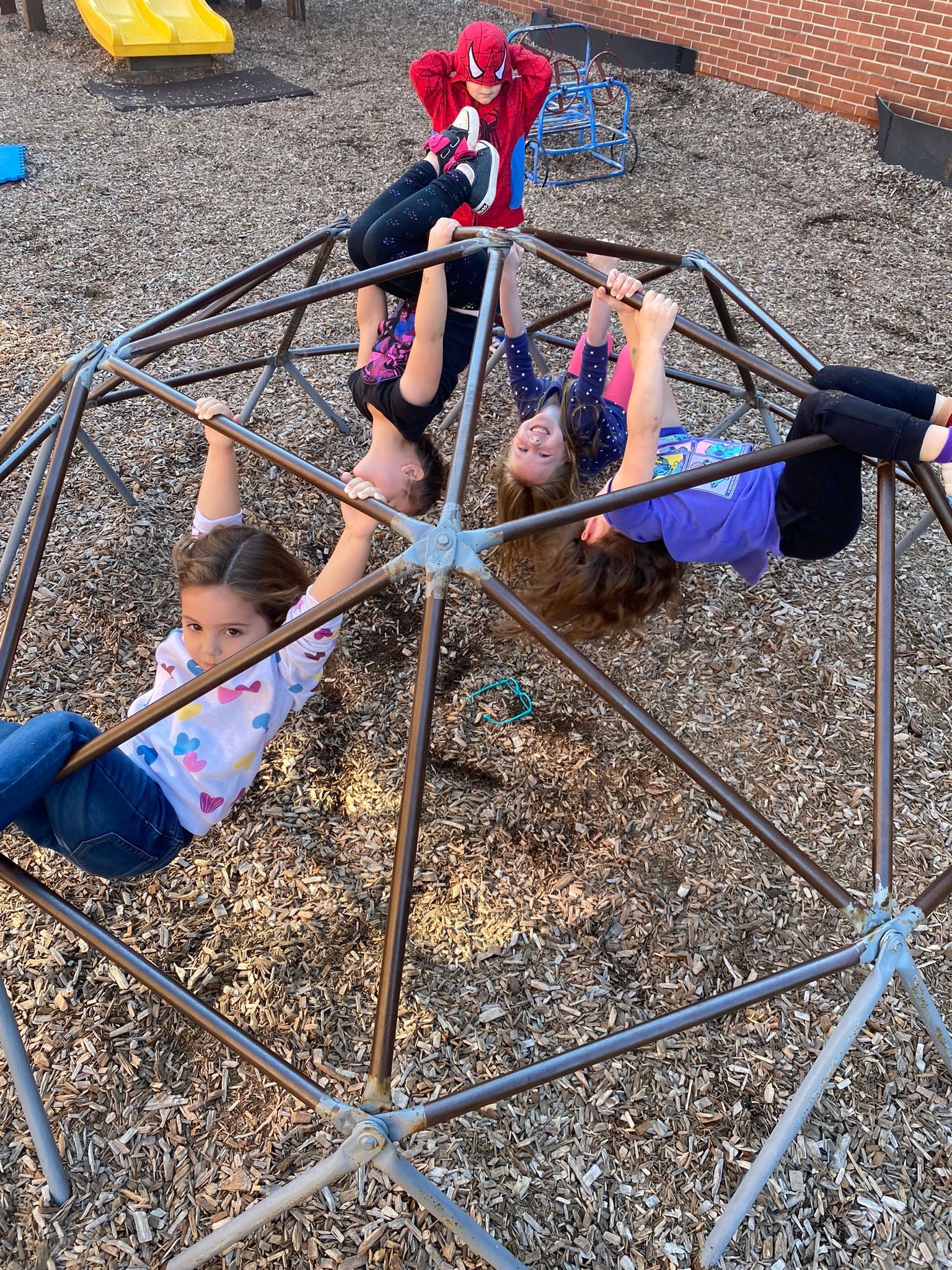 A group of young girls are playing on a climbing structure at a playground.