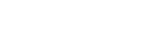 Vital Mind Wellness logo