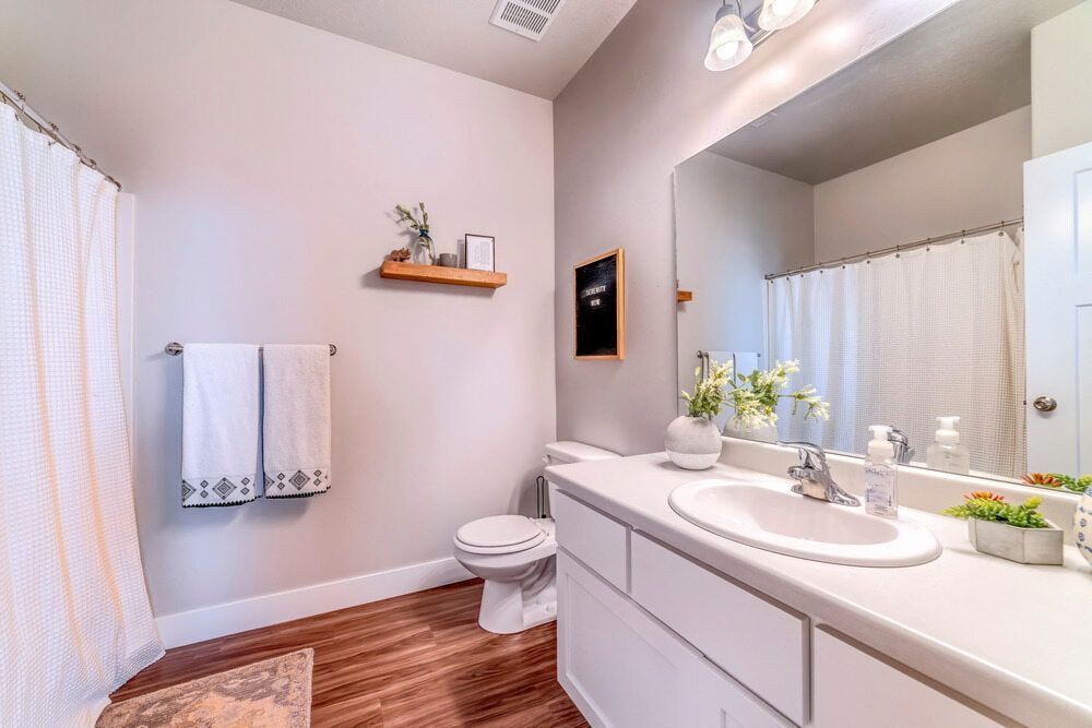 A Bathroom With a Toilet, Sink, Mirror and Shower Curtain — Bulli Glass in Bulli, NSW