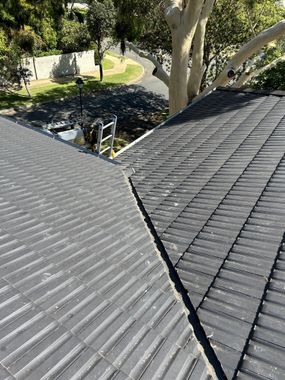 a close up of a roof with a tree in the background .