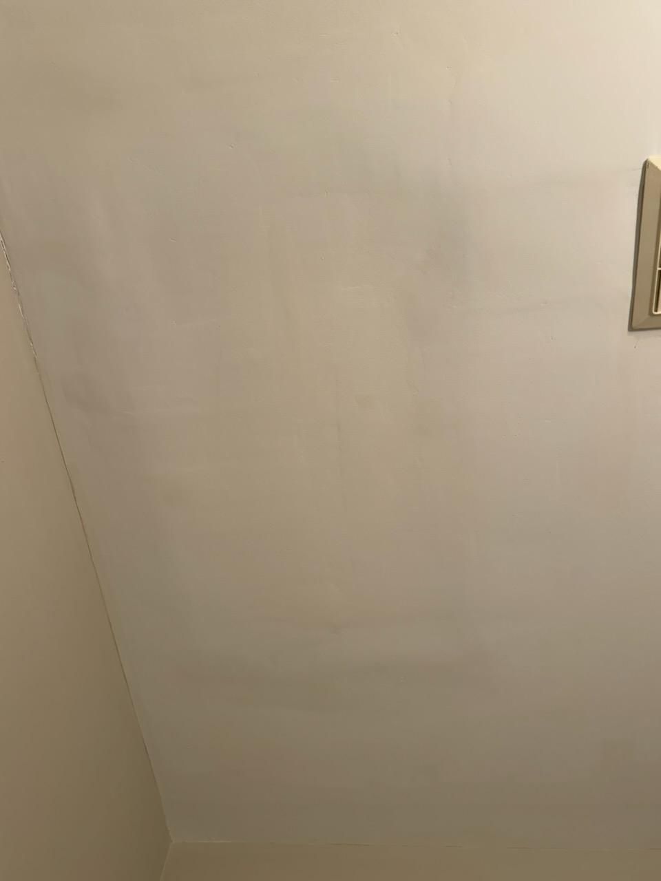 White ceiling with dark discoloration, and a vent.