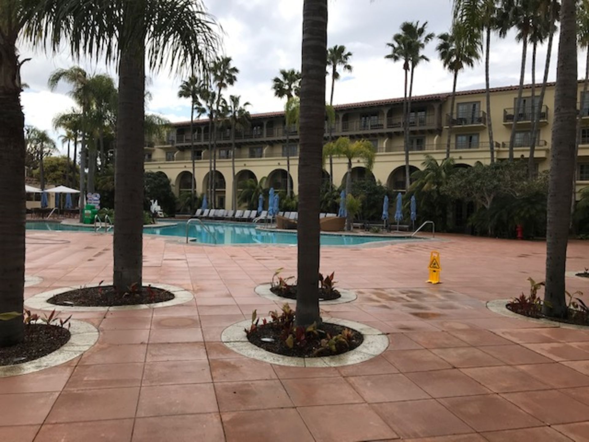A large swimming pool surrounded by palm trees and a yellow fire hydrant