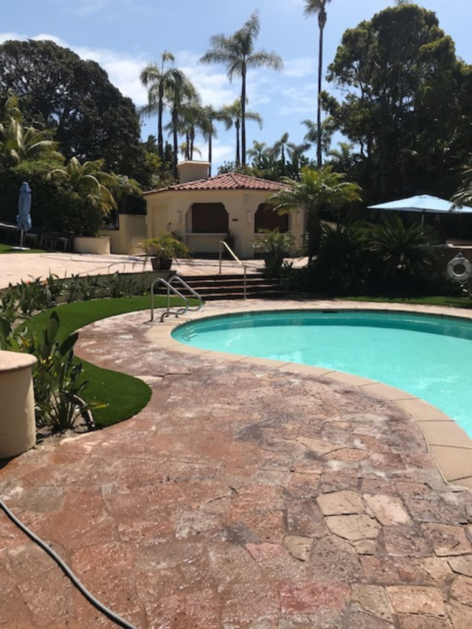 A large swimming pool with palm trees in the background