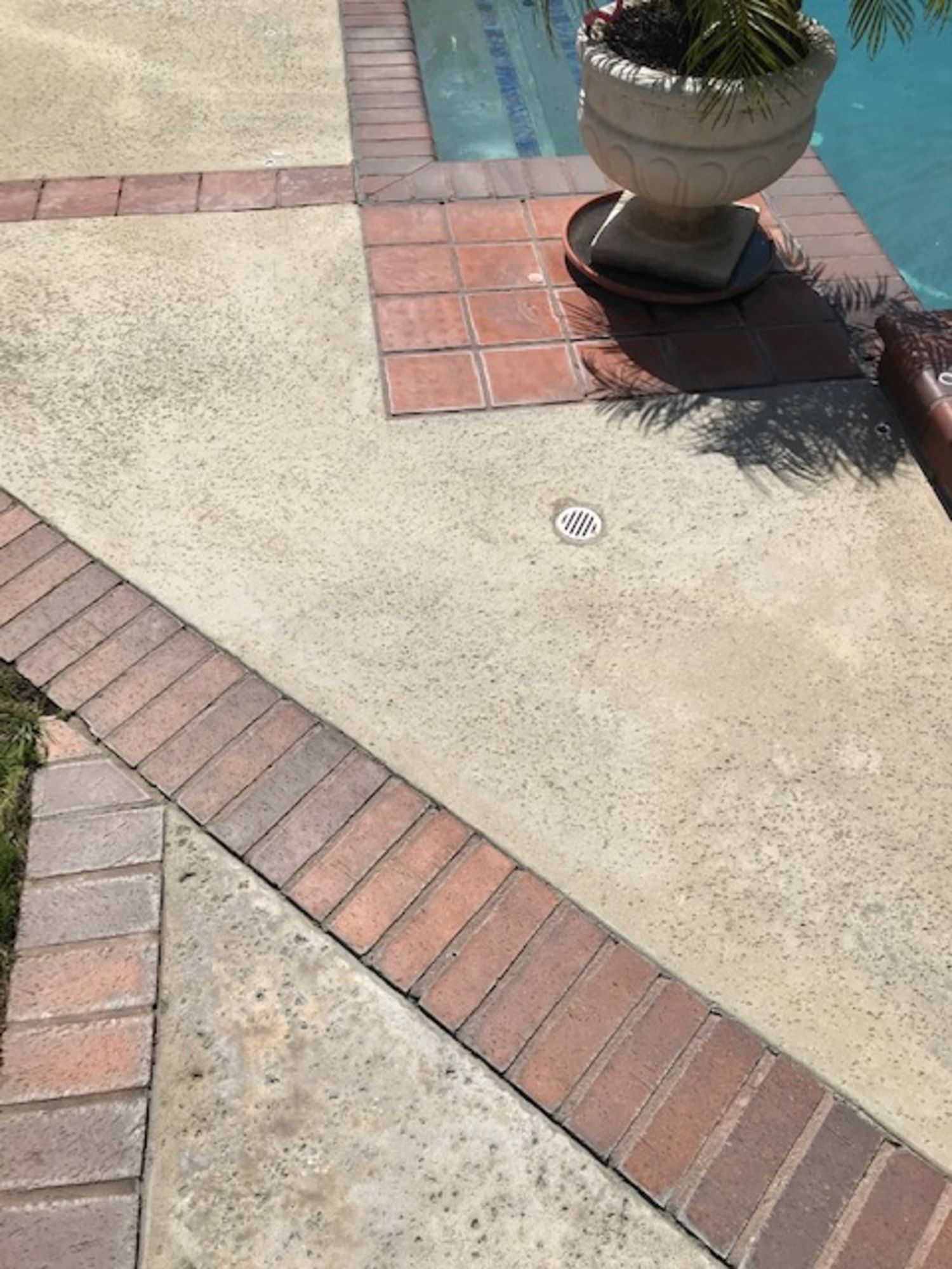 A brick walkway leading to a swimming pool with a potted plant on the side.