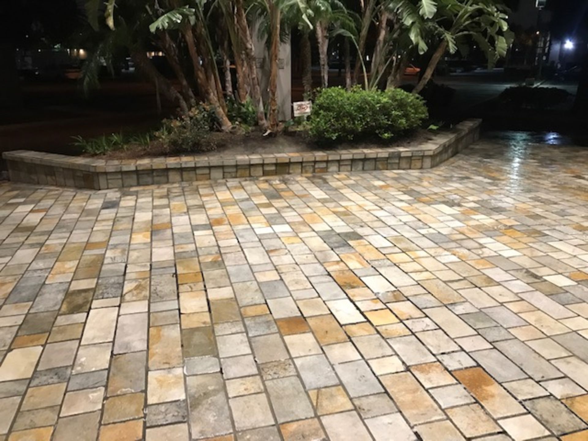 A brick driveway with trees in the background at night