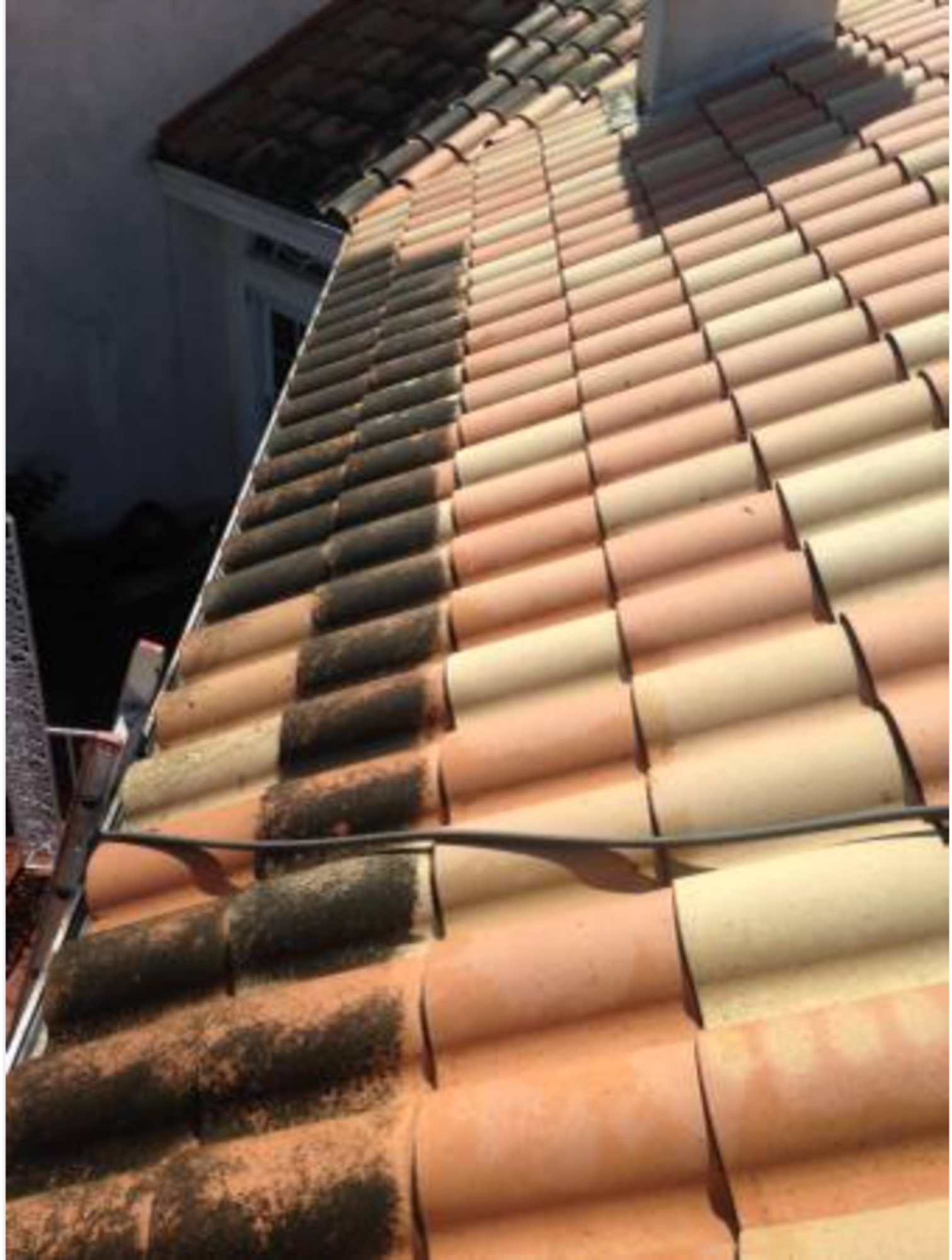A picture of a tiled roof before and after being cleaned.