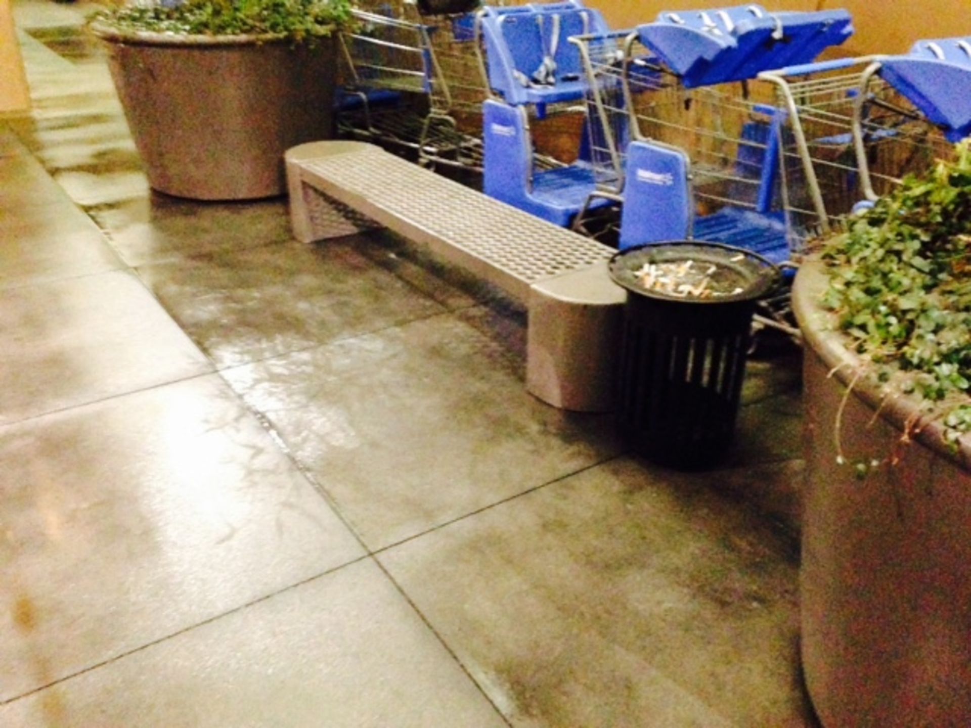 A row of shopping carts are parked next to a bench and a trash can