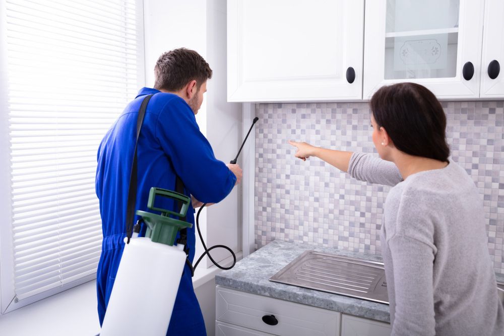 Residential Pest Management in Albury Border Pest Control