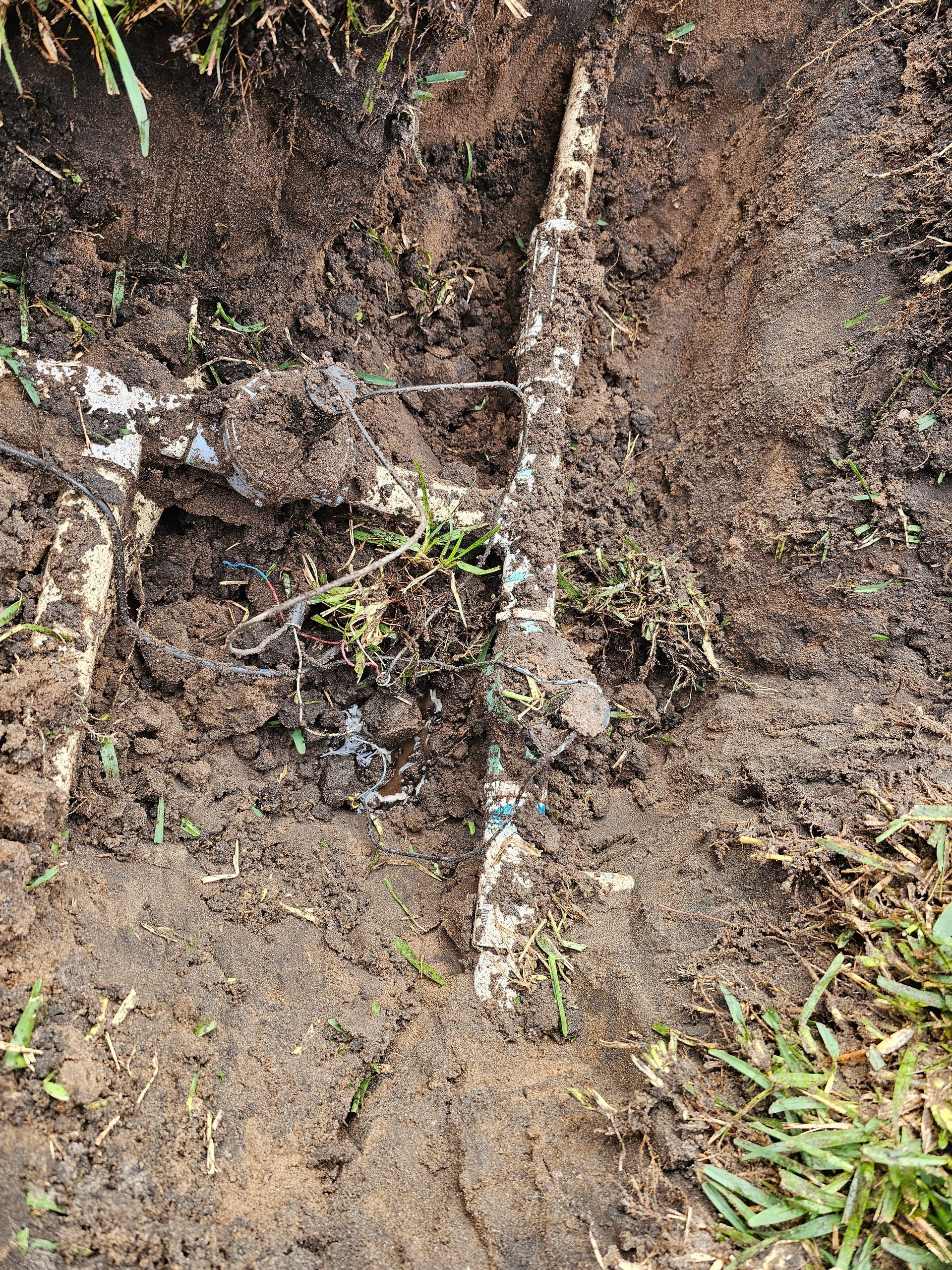 A man in a protective suit is spraying a plant with a sprayer. MT Landscaping Service
