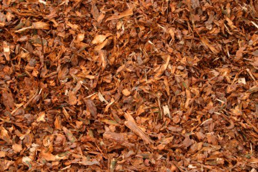 Organic Mulch For Sale - Staten Island, New York - Holly Expert Tree Care Service, Inc.