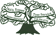 Holly Expert Tree Care Service, Inc.