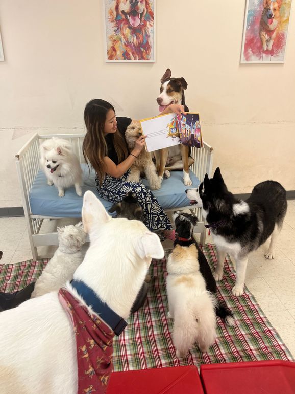 A woman is reading a book to a group of dogs.