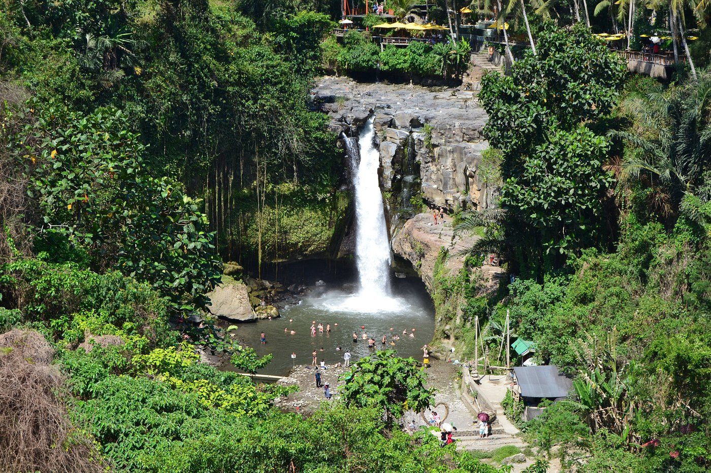 Waterfall cascading into a pool surrounded by lush green vegetation, people swimming.
