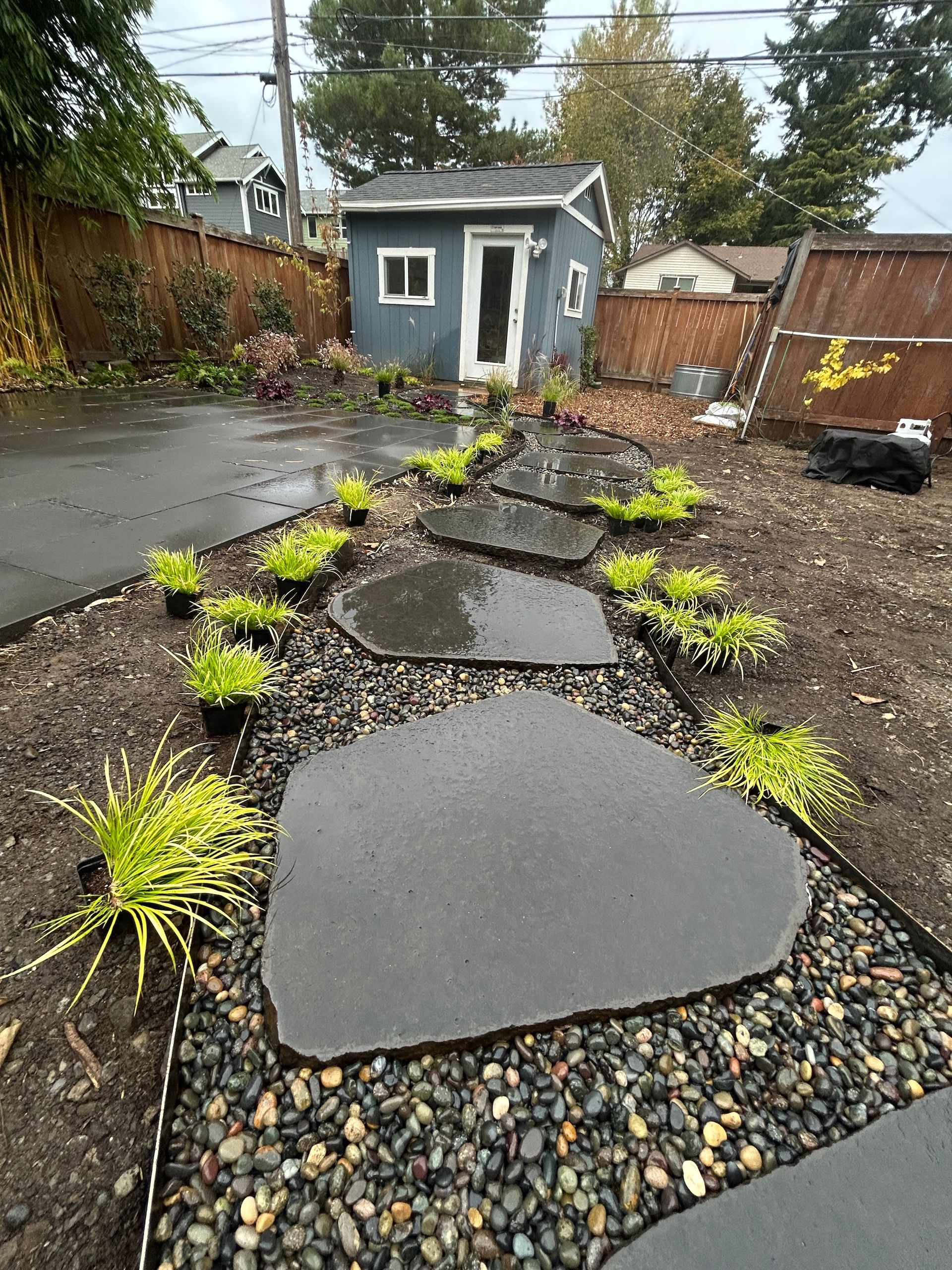 Stepping stones through a wet gravel garden leading to a small gray shed in a backyard