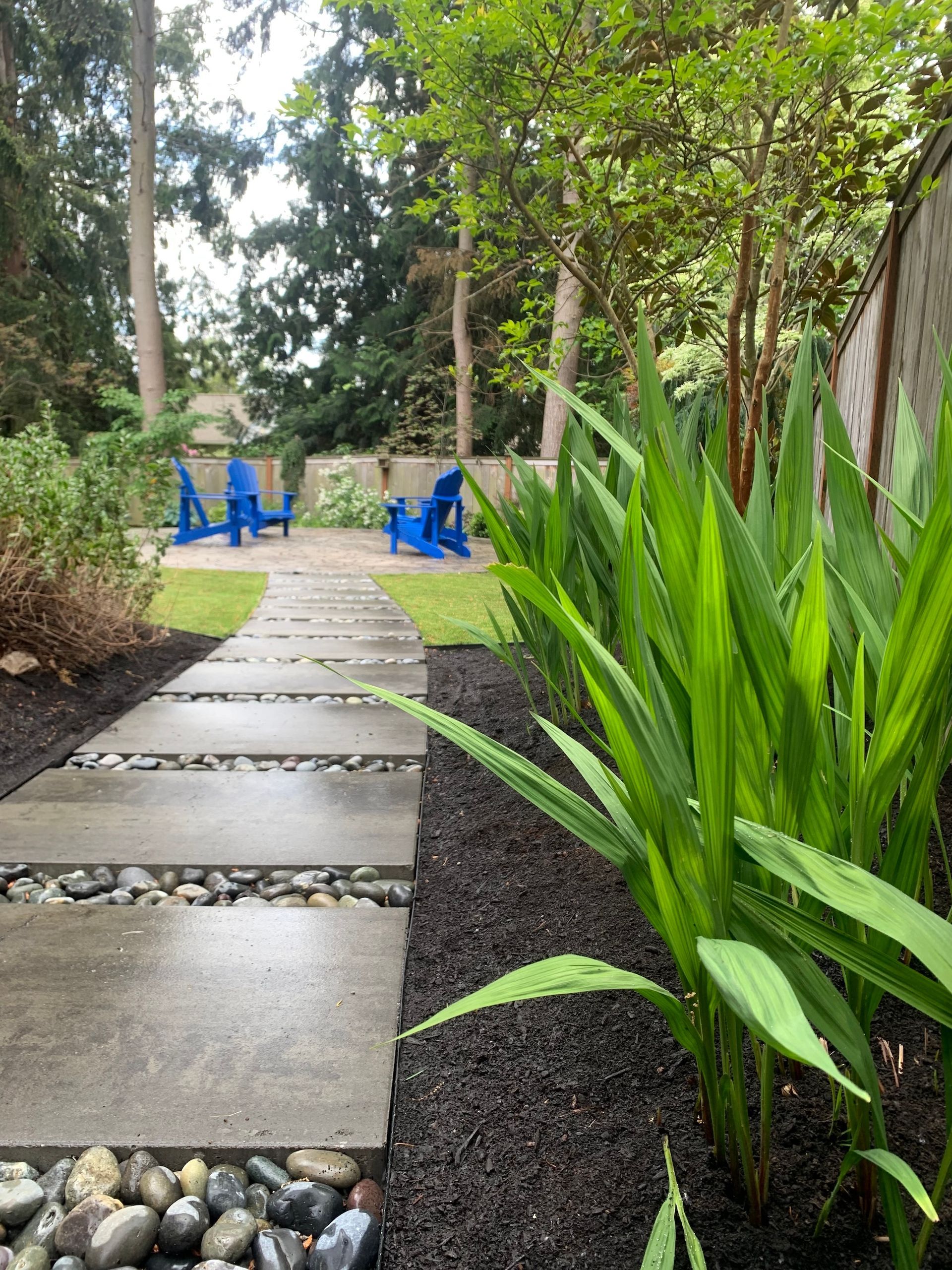 Garden path leading to blue chairs and table amid lush greenery
