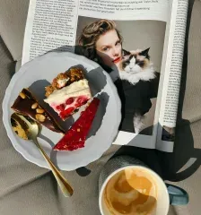 Life style magazine publishing services