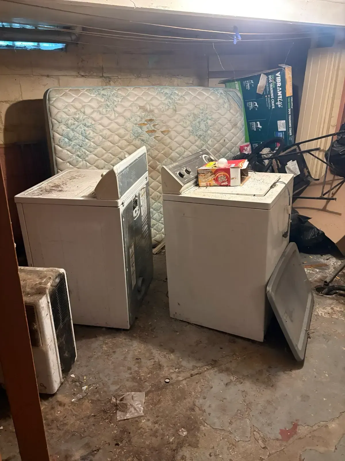 A dirty basement with a washer and dryer and a mattress.