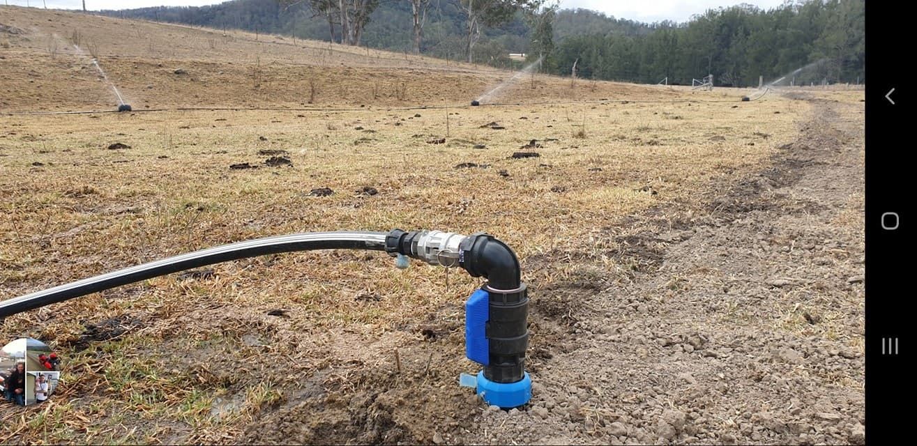 A hose is connected to a sprinkler in a field. — Manning Valley Pumps And Irrigation In Wingham, NSW