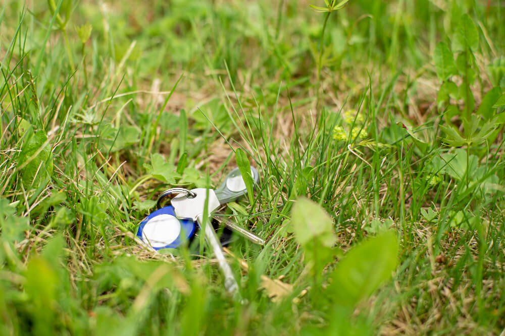 מפתח לרכב אבד מאמר bunch-keys-keychain-lost-lie-grass+%281%29.jpg
