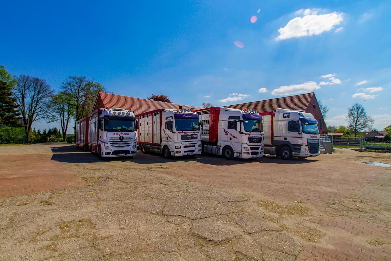Auf einem Parkplatz vor einem Gebäude steht eine Reihe von Lastwagen.