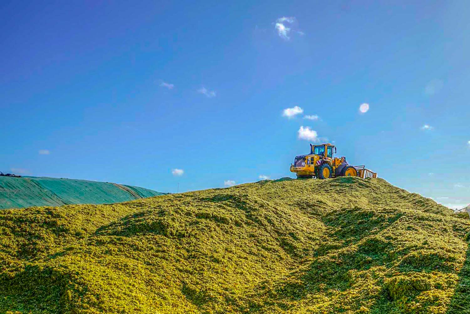 Auf einem Heuhaufen steht ein gelber Traktor.
