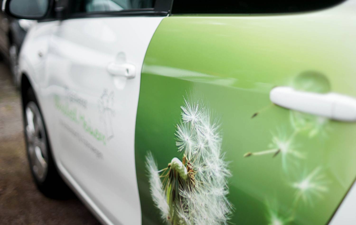 Ein weiß-grünes Auto mit dem Bild einer Pusteblume an der Seite.