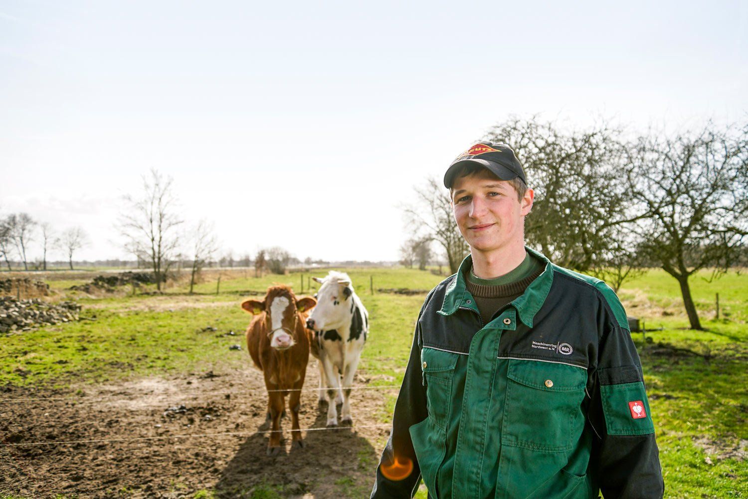 werbeagentur meppen, marketing leer, webdesign werbeagentur, seo emsland