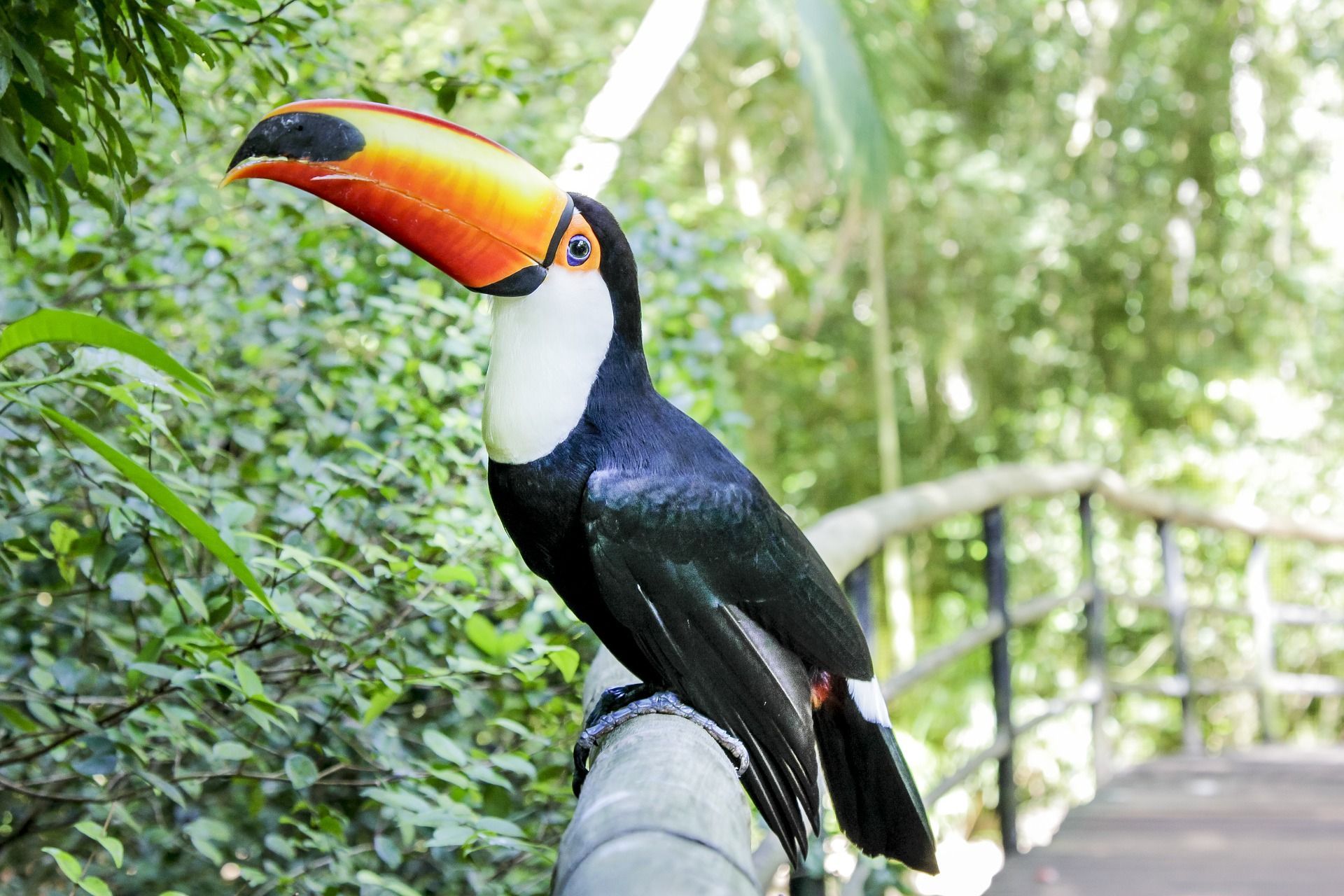 Foz do Iguaçu - Monalisa Palace Hotel