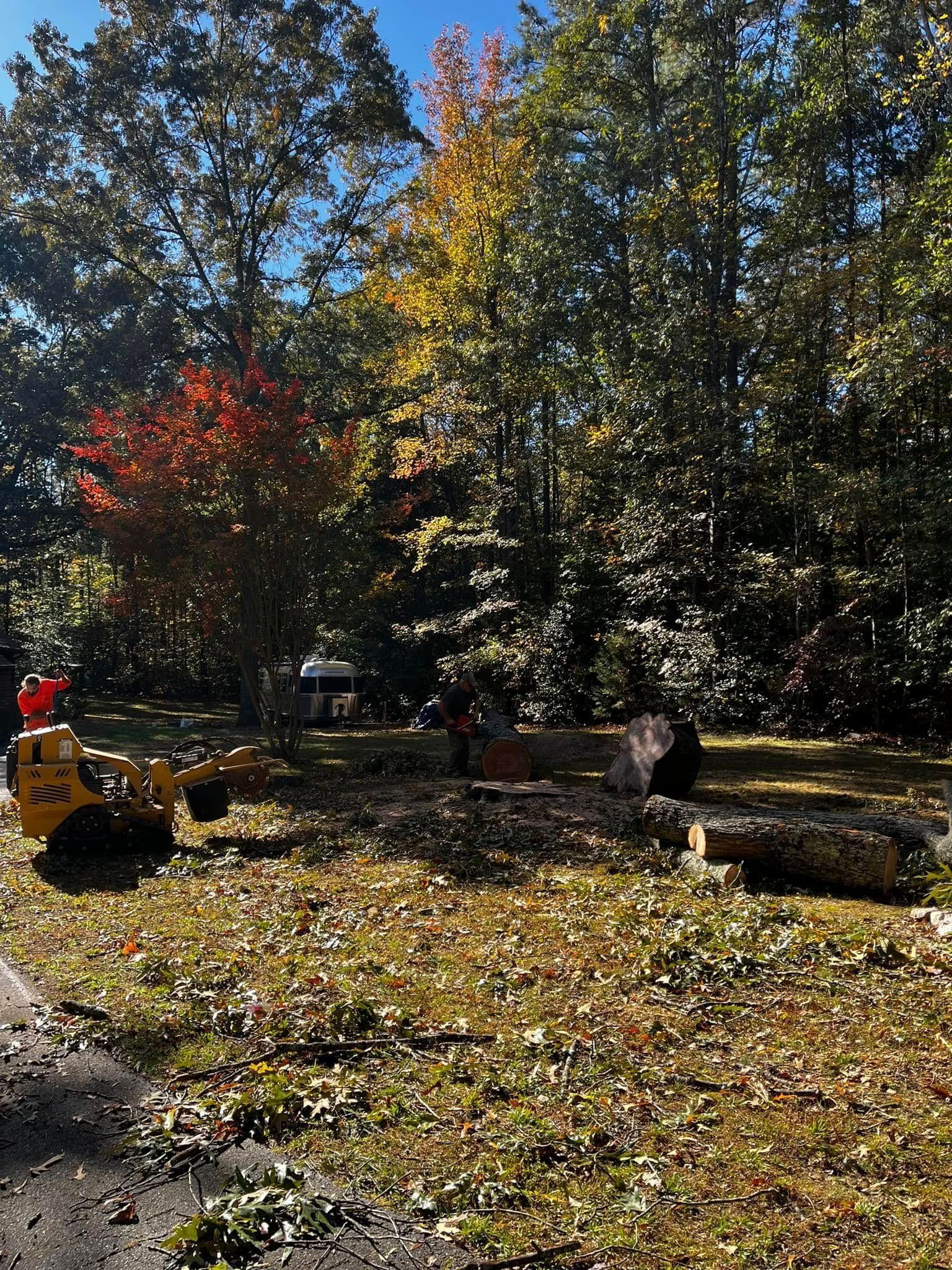 Twisted Timbers Tree Care, Shenandoah, Lexington VA, Buena vista VA, Charlottesville VA, Culpeper VA, Fredericksburg VA, Broadway VA, Grottoes VA, Massanetta Springs VA, Greenville VA, Luray, VA, Elkton, VA, Harrisonburg VA, Jollett VA, Stanley VA, Staunton VA, Comertown VA, Grove Hill VA, New Market VA, Waynesboro VA, Tenth Legion VA, Tree Removal, Tree Removal Company, Tree Removal Near Me, Emergency Tree Removal, Shenandoah Tree Removal, Waynesboro Tree Removal, Charlottesville Tree Removal, Harrisonburg Tree Removal, Lexington Tree Removal, Staunton Tree Removal, Tree Trimming, Shenandoah Tree Trimming, Waynesboro Tree Trimming, Charlottesville Tree Trimming, Harrisonburg Tree Trimming, Lexington Tree Trimming, Staunton Tree Trimming, Stump Grinding, Stump Grinding Near Me, Shenandoah Stump Grinding, Waynesboro Stump Grinding, Charlottesville Stump Grinding, Harrisonburg Stump Grinding, Lexington Stump Grinding, Staunton Stump Grinding, Lot Clearing, Lot Clearing Near Me, Shenandoah Lot Clearing, Waynesboro Lot Clearing, Charlottesville Lot Clearing, Harrisonburg Lot Clearing, Lexington Lot Clearing, Staunton Lot Clearing, Storm Damage Clean Up, Tree Risk Assessments, Tree Health Assessments