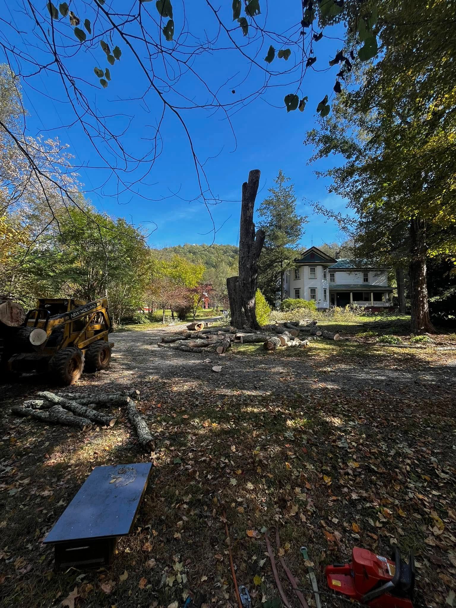 Twisted Timbers Tree Care, Shenandoah, Lexington VA, Buena vista VA, Charlottesville VA, Culpeper VA, Fredericksburg VA, Broadway VA, Grottoes VA, Massanetta Springs VA, Greenville VA, Luray, VA, Elkton, VA, Harrisonburg VA, Jollett VA, Stanley VA, Staunton VA, Comertown VA, Grove Hill VA, New Market VA, Waynesboro VA, Tenth Legion VA, Tree Removal, Tree Removal Company, Tree Removal Near Me, Emergency Tree Removal, Shenandoah Tree Removal, Waynesboro Tree Removal, Charlottesville Tree Removal, Harrisonburg Tree Removal, Lexington Tree Removal, Staunton Tree Removal, Tree Trimming, Shenandoah Tree Trimming, Waynesboro Tree Trimming, Charlottesville Tree Trimming, Harrisonburg Tree Trimming, Lexington Tree Trimming, Staunton Tree Trimming, Stump Grinding, Stump Grinding Near Me, Shenandoah Stump Grinding, Waynesboro Stump Grinding, Charlottesville Stump Grinding, Harrisonburg Stump Grinding, Lexington Stump Grinding, Staunton Stump Grinding, Lot Clearing, Lot Clearing Near Me, Shenandoah Lot Clearing, Waynesboro Lot Clearing, Charlottesville Lot Clearing, Harrisonburg Lot Clearing, Lexington Lot Clearing, Staunton Lot Clearing, Storm Damage Clean Up, Tree Risk Assessments, Tree Health Assessments