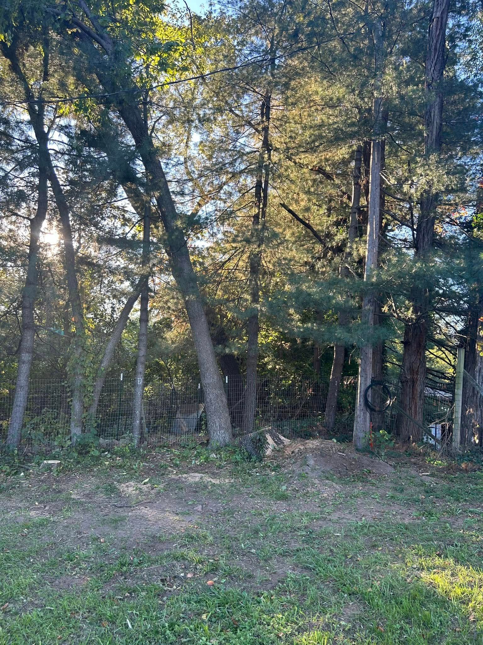 Twisted Timbers Tree Care, Shenandoah, Lexington VA, Buena vista VA, Charlottesville VA, Culpeper VA, Fredericksburg VA, Broadway VA, Grottoes VA, Massanetta Springs VA, Greenville VA, Luray, VA, Elkton, VA, Harrisonburg VA, Jollett VA, Stanley VA, Staunton VA, Comertown VA, Grove Hill VA, New Market VA, Waynesboro VA, Tenth Legion VA, Tree Removal, Tree Removal Company, Tree Removal Near Me, Emergency Tree Removal, Shenandoah Tree Removal, Waynesboro Tree Removal, Charlottesville Tree Removal, Harrisonburg Tree Removal, Lexington Tree Removal, Staunton Tree Removal, Tree Trimming, Shenandoah Tree Trimming, Waynesboro Tree Trimming, Charlottesville Tree Trimming, Harrisonburg Tree Trimming, Lexington Tree Trimming, Staunton Tree Trimming, Stump Grinding, Stump Grinding Near Me, Shenandoah Stump Grinding, Waynesboro Stump Grinding, Charlottesville Stump Grinding, Harrisonburg Stump Grinding, Lexington Stump Grinding, Staunton Stump Grinding, Lot Clearing, Lot Clearing Near Me, Shenandoah Lot Clearing, Waynesboro Lot Clearing, Charlottesville Lot Clearing, Harrisonburg Lot Clearing, Lexington Lot Clearing, Staunton Lot Clearing, Storm Damage Clean Up, Tree Risk Assessments, Tree Health Assessments