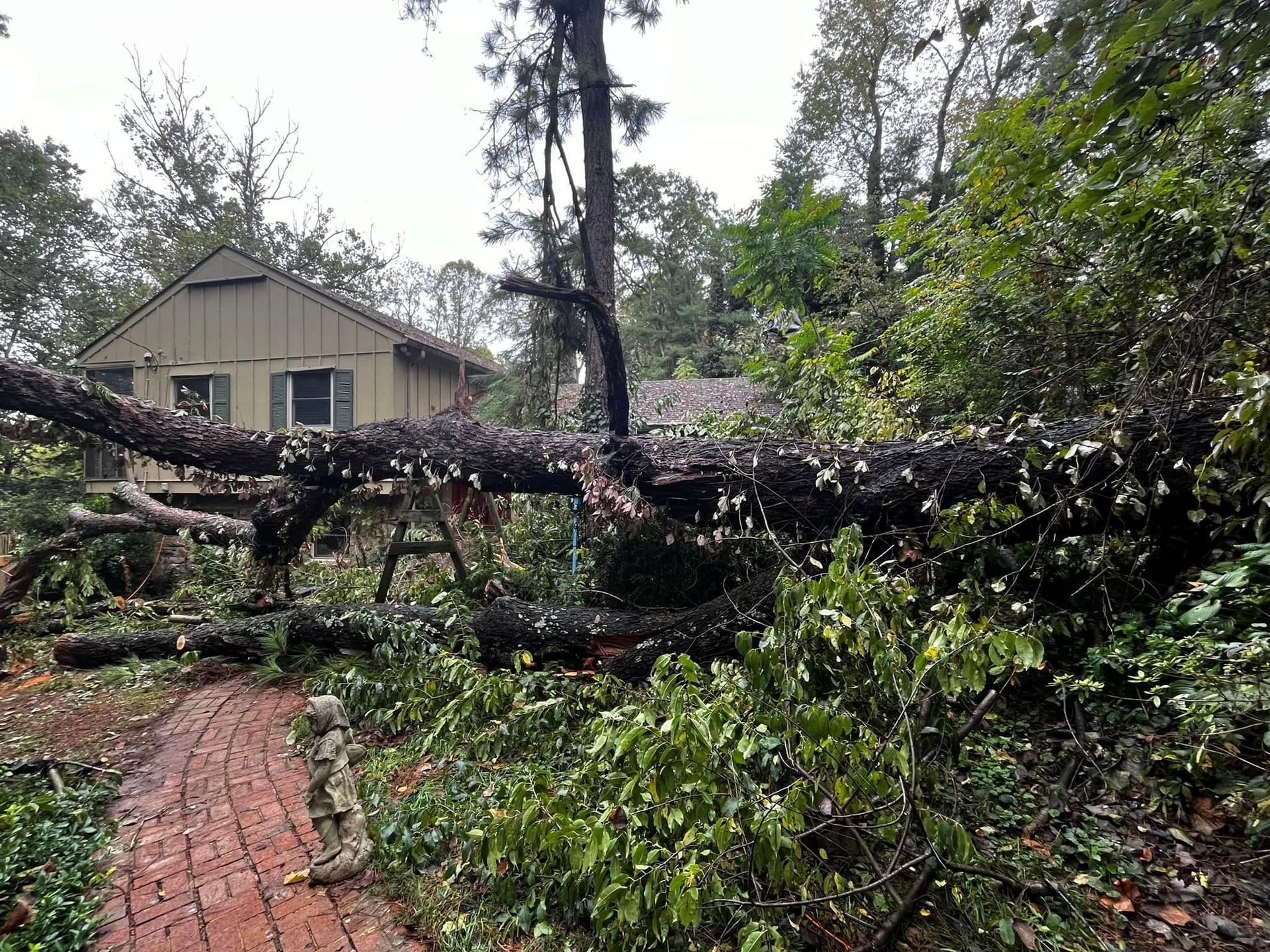 Twisted Timbers Tree Care, Shenandoah, Lexington VA, Buena vista VA, Charlottesville VA, Culpeper VA, Fredericksburg VA, Broadway VA, Grottoes VA, Massanetta Springs VA, Greenville VA, Luray, VA, Elkton, VA, Harrisonburg VA, Jollett VA, Stanley VA, Staunton VA, Comertown VA, Grove Hill VA, New Market VA, Waynesboro VA, Tenth Legion VA, Tree Removal, Tree Removal Company, Tree Removal Near Me, Emergency Tree Removal, Shenandoah Tree Removal, Waynesboro Tree Removal, Charlottesville Tree Removal, Harrisonburg Tree Removal, Lexington Tree Removal, Staunton Tree Removal, Tree Trimming, Shenandoah Tree Trimming, Waynesboro Tree Trimming, Charlottesville Tree Trimming, Harrisonburg Tree Trimming, Lexington Tree Trimming, Staunton Tree Trimming, Stump Grinding, Stump Grinding Near Me, Shenandoah Stump Grinding, Waynesboro Stump Grinding, Charlottesville Stump Grinding, Harrisonburg Stump Grinding, Lexington Stump Grinding, Staunton Stump Grinding, Lot Clearing, Lot Clearing Near Me, Shenandoah Lot Clearing, Waynesboro Lot Clearing, Charlottesville Lot Clearing, Harrisonburg Lot Clearing, Lexington Lot Clearing, Staunton Lot Clearing, Storm Damage Clean Up, Tree Risk Assessments, Tree Health Assessments