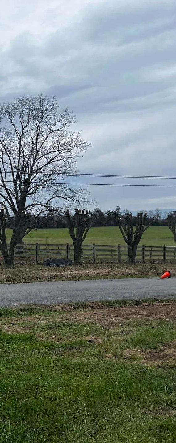 Twisted Timbers Tree Care, Shenandoah, Lexington VA, Buena vista VA, Charlottesville VA, Culpeper VA, Fredericksburg VA, Broadway VA, Grottoes VA, Massanetta Springs VA, Greenville VA, Luray, VA, Elkton, VA, Harrisonburg VA, Jollett VA, Stanley VA, Staunton VA, Comertown VA, Grove Hill VA, New Market VA, Waynesboro VA, Tenth Legion VA, Tree Removal, Tree Removal Company, Tree Removal Near Me, Emergency Tree Removal, Shenandoah Tree Removal, Waynesboro Tree Removal, Charlottesville Tree Removal, Harrisonburg Tree Removal, Lexington Tree Removal, Staunton Tree Removal, Tree Trimming, Shenandoah Tree Trimming, Waynesboro Tree Trimming, Charlottesville Tree Trimming, Harrisonburg Tree Trimming, Lexington Tree Trimming, Staunton Tree Trimming, Stump Grinding, Stump Grinding Near Me, Shenandoah Stump Grinding, Waynesboro Stump Grinding, Charlottesville Stump Grinding, Harrisonburg Stump Grinding, Lexington Stump Grinding, Staunton Stump Grinding, Lot Clearing, Lot Clearing Near Me, Shenandoah Lot Clearing, Waynesboro Lot Clearing, Charlottesville Lot Clearing, Harrisonburg Lot Clearing, Lexington Lot Clearing, Staunton Lot Clearing, Storm Damage Clean Up, Tree Risk Assessments, Tree Health Assessments