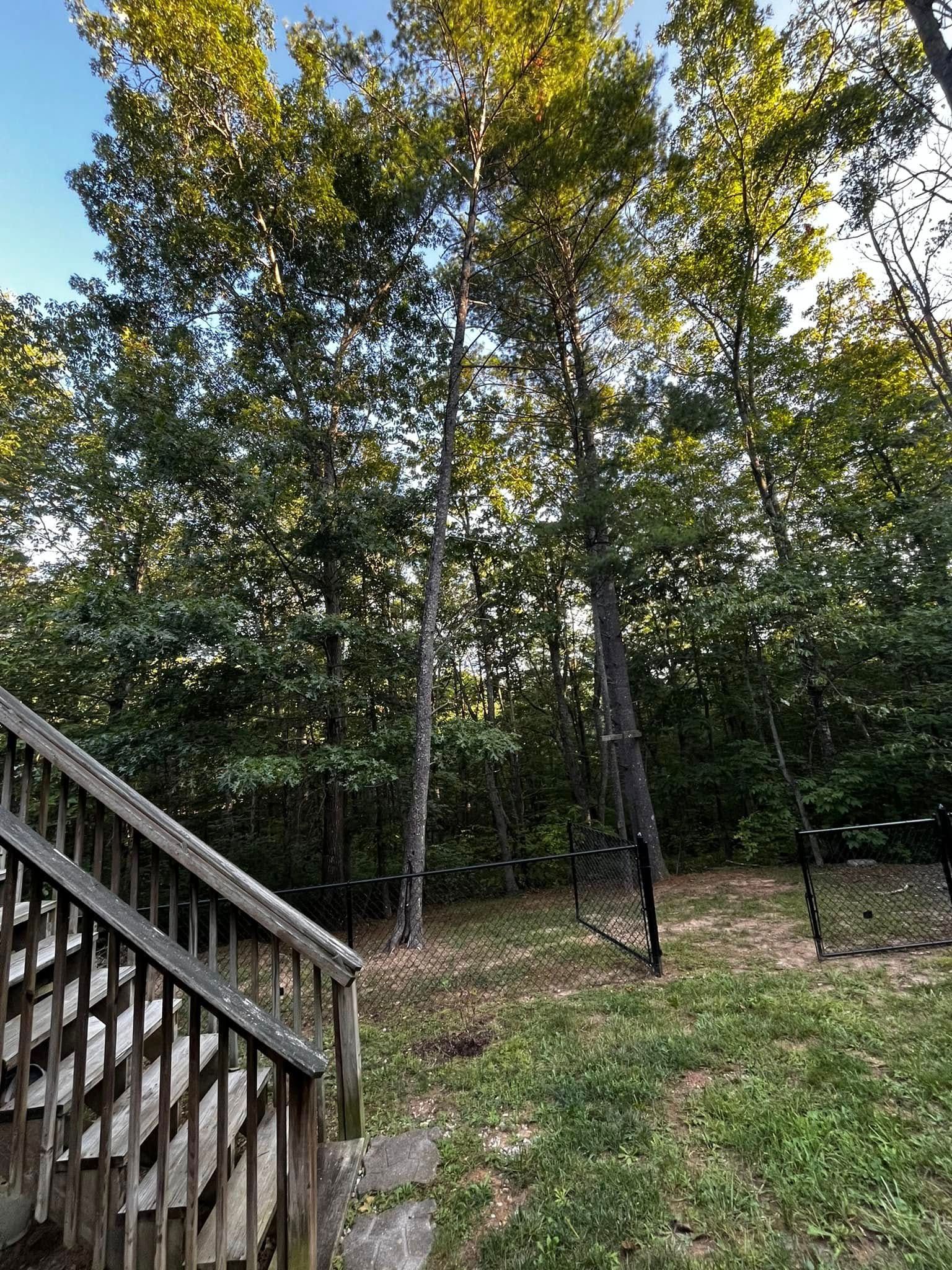 Twisted Timbers Tree Care, Shenandoah, Lexington VA, Buena vista VA, Charlottesville VA, Culpeper VA, Fredericksburg VA, Broadway VA, Grottoes VA, Massanetta Springs VA, Greenville VA, Luray, VA, Elkton, VA, Harrisonburg VA, Jollett VA, Stanley VA, Staunton VA, Comertown VA, Grove Hill VA, New Market VA, Waynesboro VA, Tenth Legion VA, Tree Removal, Tree Removal Company, Tree Removal Near Me, Emergency Tree Removal, Shenandoah Tree Removal, Waynesboro Tree Removal, Charlottesville Tree Removal, Harrisonburg Tree Removal, Lexington Tree Removal, Staunton Tree Removal, Tree Trimming, Shenandoah Tree Trimming, Waynesboro Tree Trimming, Charlottesville Tree Trimming, Harrisonburg Tree Trimming, Lexington Tree Trimming, Staunton Tree Trimming, Stump Grinding, Stump Grinding Near Me, Shenandoah Stump Grinding, Waynesboro Stump Grinding, Charlottesville Stump Grinding, Harrisonburg Stump Grinding, Lexington Stump Grinding, Staunton Stump Grinding, Lot Clearing, Lot Clearing Near Me, Shenandoah Lot Clearing, Waynesboro Lot Clearing, Charlottesville Lot Clearing, Harrisonburg Lot Clearing, Lexington Lot Clearing, Staunton Lot Clearing, Storm Damage Clean Up, Tree Risk Assessments, Tree Health Assessments