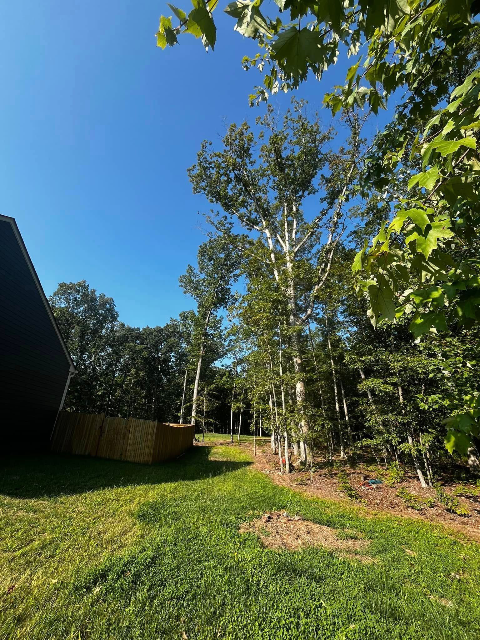 Twisted Timbers Tree Care, Shenandoah, Lexington VA, Buena vista VA, Charlottesville VA, Culpeper VA, Fredericksburg VA, Broadway VA, Grottoes VA, Massanetta Springs VA, Greenville VA, Luray, VA, Elkton, VA, Harrisonburg VA, Jollett VA, Stanley VA, Staunton VA, Comertown VA, Grove Hill VA, New Market VA, Waynesboro VA, Tenth Legion VA, Tree Removal, Tree Removal Company, Tree Removal Near Me, Emergency Tree Removal, Shenandoah Tree Removal, Waynesboro Tree Removal, Charlottesville Tree Removal, Harrisonburg Tree Removal, Lexington Tree Removal, Staunton Tree Removal, Tree Trimming, Shenandoah Tree Trimming, Waynesboro Tree Trimming, Charlottesville Tree Trimming, Harrisonburg Tree Trimming, Lexington Tree Trimming, Staunton Tree Trimming, Stump Grinding, Stump Grinding Near Me, Shenandoah Stump Grinding, Waynesboro Stump Grinding, Charlottesville Stump Grinding, Harrisonburg Stump Grinding, Lexington Stump Grinding, Staunton Stump Grinding, Lot Clearing, Lot Clearing Near Me, Shenandoah Lot Clearing, Waynesboro Lot Clearing, Charlottesville Lot Clearing, Harrisonburg Lot Clearing, Lexington Lot Clearing, Staunton Lot Clearing, Storm Damage Clean Up, Tree Risk Assessments, Tree Health Assessments