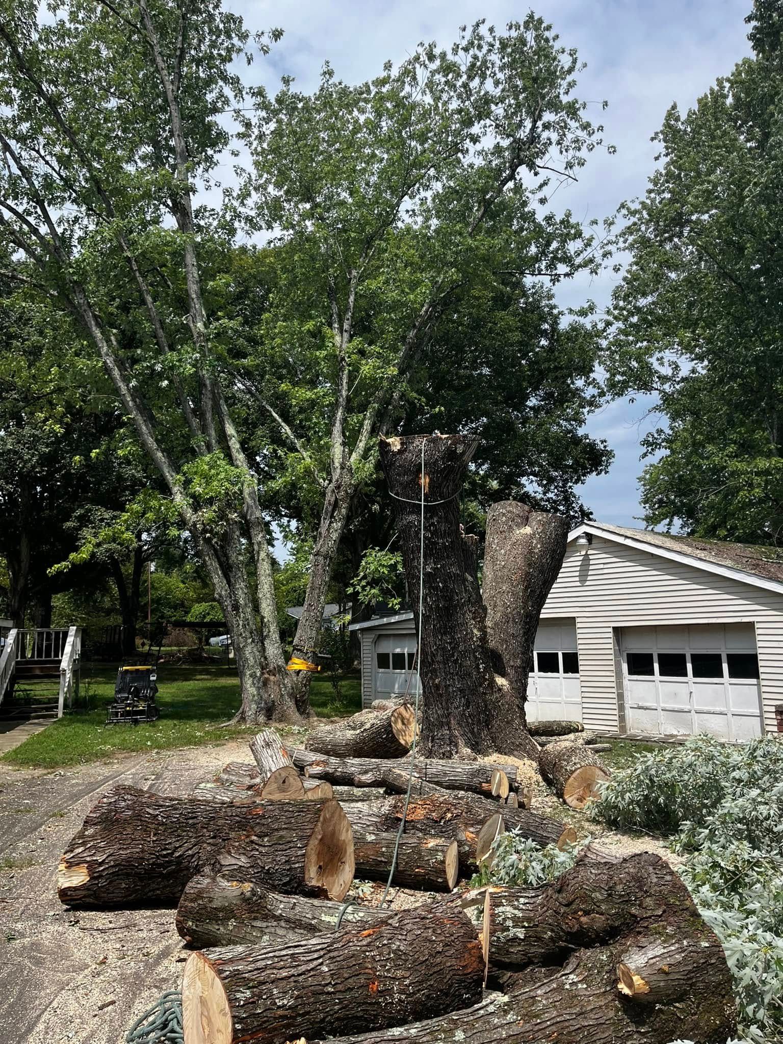Twisted Timbers Tree Care, Shenandoah, Lexington VA, Buena vista VA, Charlottesville VA, Culpeper VA, Fredericksburg VA, Broadway VA, Grottoes VA, Massanetta Springs VA, Greenville VA, Luray, VA, Elkton, VA, Harrisonburg VA, Jollett VA, Stanley VA, Staunton VA, Comertown VA, Grove Hill VA, New Market VA, Waynesboro VA, Tenth Legion VA, Tree Removal, Tree Removal Company, Tree Removal Near Me, Emergency Tree Removal, Shenandoah Tree Removal, Waynesboro Tree Removal, Charlottesville Tree Removal, Harrisonburg Tree Removal, Lexington Tree Removal, Staunton Tree Removal, Tree Trimming, Shenandoah Tree Trimming, Waynesboro Tree Trimming, Charlottesville Tree Trimming, Harrisonburg Tree Trimming, Lexington Tree Trimming, Staunton Tree Trimming, Stump Grinding, Stump Grinding Near Me, Shenandoah Stump Grinding, Waynesboro Stump Grinding, Charlottesville Stump Grinding, Harrisonburg Stump Grinding, Lexington Stump Grinding, Staunton Stump Grinding, Lot Clearing, Lot Clearing Near Me, Shenandoah Lot Clearing, Waynesboro Lot Clearing, Charlottesville Lot Clearing, Harrisonburg Lot Clearing, Lexington Lot Clearing, Staunton Lot Clearing, Storm Damage Clean Up, Tree Risk Assessments, Tree Health Assessments