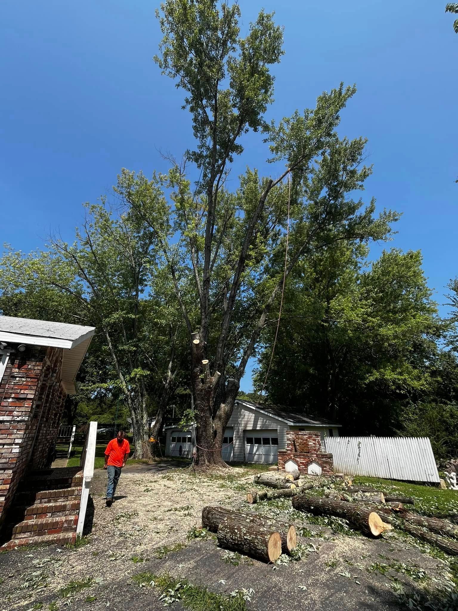 Twisted Timbers Tree Care, Shenandoah, Lexington VA, Buena vista VA, Charlottesville VA, Culpeper VA, Fredericksburg VA, Broadway VA, Grottoes VA, Massanetta Springs VA, Greenville VA, Luray, VA, Elkton, VA, Harrisonburg VA, Jollett VA, Stanley VA, Staunton VA, Comertown VA, Grove Hill VA, New Market VA, Waynesboro VA, Tenth Legion VA, Tree Removal, Tree Removal Company, Tree Removal Near Me, Emergency Tree Removal, Shenandoah Tree Removal, Waynesboro Tree Removal, Charlottesville Tree Removal, Harrisonburg Tree Removal, Lexington Tree Removal, Staunton Tree Removal, Tree Trimming, Shenandoah Tree Trimming, Waynesboro Tree Trimming, Charlottesville Tree Trimming, Harrisonburg Tree Trimming, Lexington Tree Trimming, Staunton Tree Trimming, Stump Grinding, Stump Grinding Near Me, Shenandoah Stump Grinding, Waynesboro Stump Grinding, Charlottesville Stump Grinding, Harrisonburg Stump Grinding, Lexington Stump Grinding, Staunton Stump Grinding, Lot Clearing, Lot Clearing Near Me, Shenandoah Lot Clearing, Waynesboro Lot Clearing, Charlottesville Lot Clearing, Harrisonburg Lot Clearing, Lexington Lot Clearing, Staunton Lot Clearing, Storm Damage Clean Up, Tree Risk Assessments, Tree Health Assessments