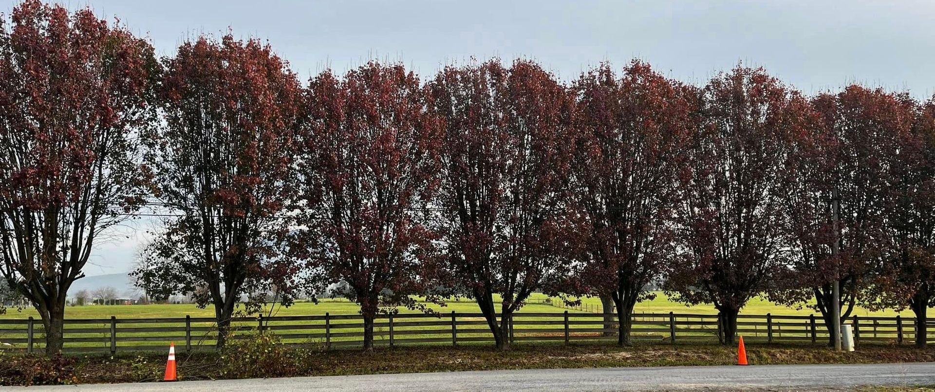 Twisted Timbers Tree Care, Shenandoah, Lexington VA, Buena vista VA, Charlottesville VA, Culpeper VA, Fredericksburg VA, Broadway VA, Grottoes VA, Massanetta Springs VA, Greenville VA, Luray, VA, Elkton, VA, Harrisonburg VA, Jollett VA, Stanley VA, Staunton VA, Comertown VA, Grove Hill VA, New Market VA, Waynesboro VA, Tenth Legion VA, Tree Removal, Tree Removal Company, Tree Removal Near Me, Emergency Tree Removal, Shenandoah Tree Removal, Waynesboro Tree Removal, Charlottesville Tree Removal, Harrisonburg Tree Removal, Lexington Tree Removal, Staunton Tree Removal, Tree Trimming, Shenandoah Tree Trimming, Waynesboro Tree Trimming, Charlottesville Tree Trimming, Harrisonburg Tree Trimming, Lexington Tree Trimming, Staunton Tree Trimming, Stump Grinding, Stump Grinding Near Me, Shenandoah Stump Grinding, Waynesboro Stump Grinding, Charlottesville Stump Grinding, Harrisonburg Stump Grinding, Lexington Stump Grinding, Staunton Stump Grinding, Lot Clearing, Lot Clearing Near Me, Shenandoah Lot Clearing, Waynesboro Lot Clearing, Charlottesville Lot Clearing, Harrisonburg Lot Clearing, Lexington Lot Clearing, Staunton Lot Clearing, Storm Damage Clean Up, Tree Risk Assessments, Tree Health Assessments