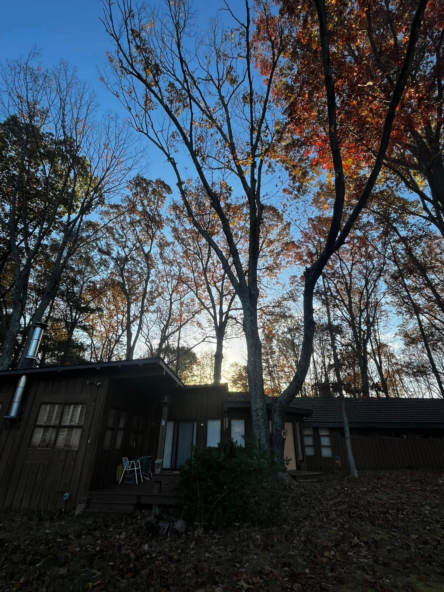 Twisted Timbers Tree Care, Shenandoah, Lexington VA, Buena vista VA, Charlottesville VA, Culpeper VA, Fredericksburg VA, Broadway VA, Grottoes VA, Massanetta Springs VA, Greenville VA, Luray, VA, Elkton, VA, Harrisonburg VA, Jollett VA, Stanley VA, Staunton VA, Comertown VA, Grove Hill VA, New Market VA, Waynesboro VA, Tenth Legion VA, Tree Removal, Tree Removal Company, Tree Removal Near Me, Emergency Tree Removal, Shenandoah Tree Removal, Waynesboro Tree Removal, Charlottesville Tree Removal, Harrisonburg Tree Removal, Lexington Tree Removal, Staunton Tree Removal, Tree Trimming, Shenandoah Tree Trimming, Waynesboro Tree Trimming, Charlottesville Tree Trimming, Harrisonburg Tree Trimming, Lexington Tree Trimming, Staunton Tree Trimming, Stump Grinding, Stump Grinding Near Me, Shenandoah Stump Grinding, Waynesboro Stump Grinding, Charlottesville Stump Grinding, Harrisonburg Stump Grinding, Lexington Stump Grinding, Staunton Stump Grinding, Lot Clearing, Lot Clearing Near Me, Shenandoah Lot Clearing, Waynesboro Lot Clearing, Charlottesville Lot Clearing, Harrisonburg Lot Clearing, Lexington Lot Clearing, Staunton Lot Clearing, Storm Damage Clean Up, Tree Risk Assessments, Tree Health Assessments