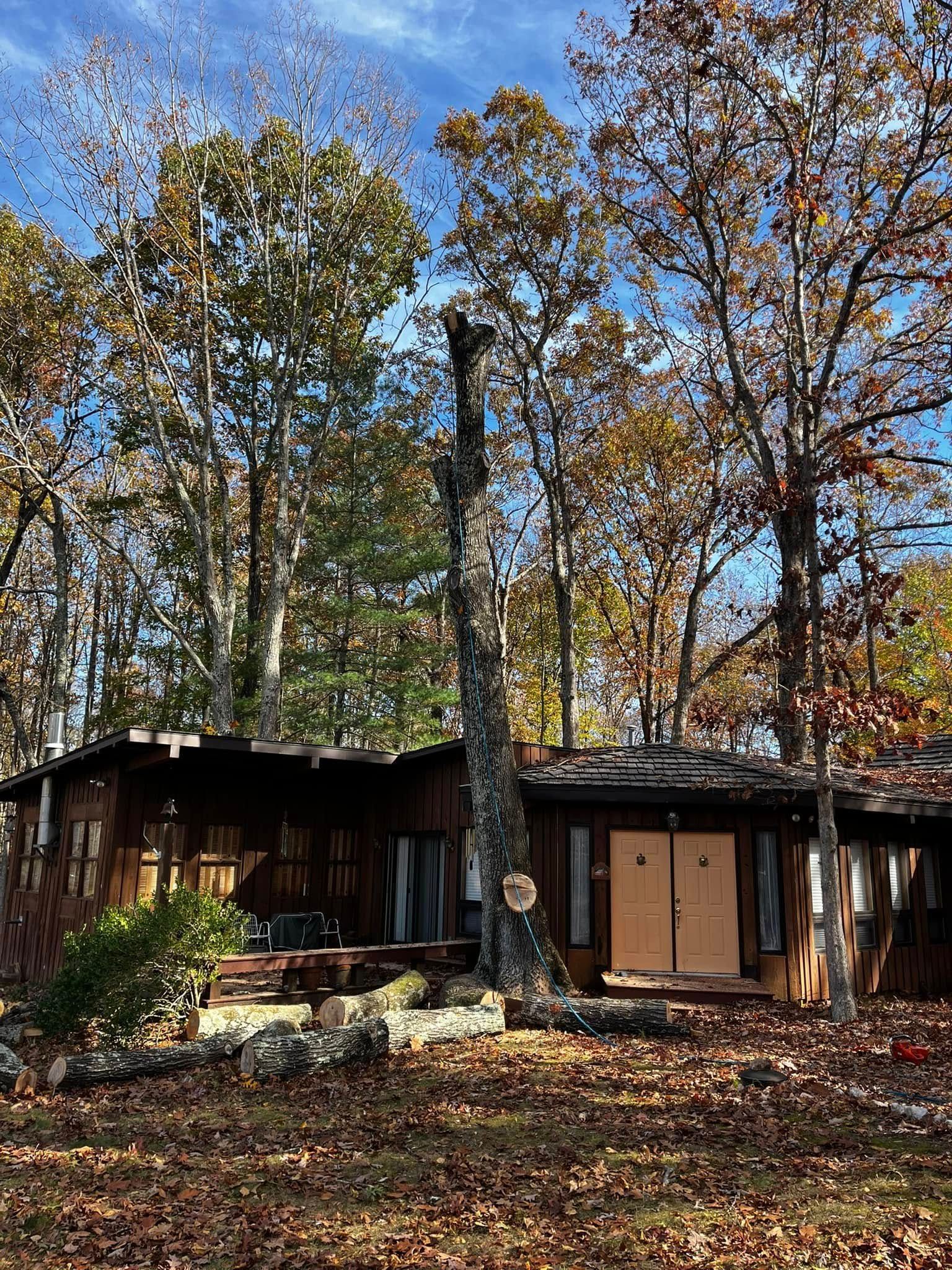 Twisted Timbers Tree Care, Shenandoah, Lexington VA, Buena vista VA, Charlottesville VA, Culpeper VA, Fredericksburg VA, Broadway VA, Grottoes VA, Massanetta Springs VA, Greenville VA, Luray, VA, Elkton, VA, Harrisonburg VA, Jollett VA, Stanley VA, Staunton VA, Comertown VA, Grove Hill VA, New Market VA, Waynesboro VA, Tenth Legion VA, Tree Removal, Tree Removal Company, Tree Removal Near Me, Emergency Tree Removal, Shenandoah Tree Removal, Waynesboro Tree Removal, Charlottesville Tree Removal, Harrisonburg Tree Removal, Lexington Tree Removal, Staunton Tree Removal, Tree Trimming, Shenandoah Tree Trimming, Waynesboro Tree Trimming, Charlottesville Tree Trimming, Harrisonburg Tree Trimming, Lexington Tree Trimming, Staunton Tree Trimming, Stump Grinding, Stump Grinding Near Me, Shenandoah Stump Grinding, Waynesboro Stump Grinding, Charlottesville Stump Grinding, Harrisonburg Stump Grinding, Lexington Stump Grinding, Staunton Stump Grinding, Lot Clearing, Lot Clearing Near Me, Shenandoah Lot Clearing, Waynesboro Lot Clearing, Charlottesville Lot Clearing, Harrisonburg Lot Clearing, Lexington Lot Clearing, Staunton Lot Clearing, Storm Damage Clean Up, Tree Risk Assessments, Tree Health Assessments