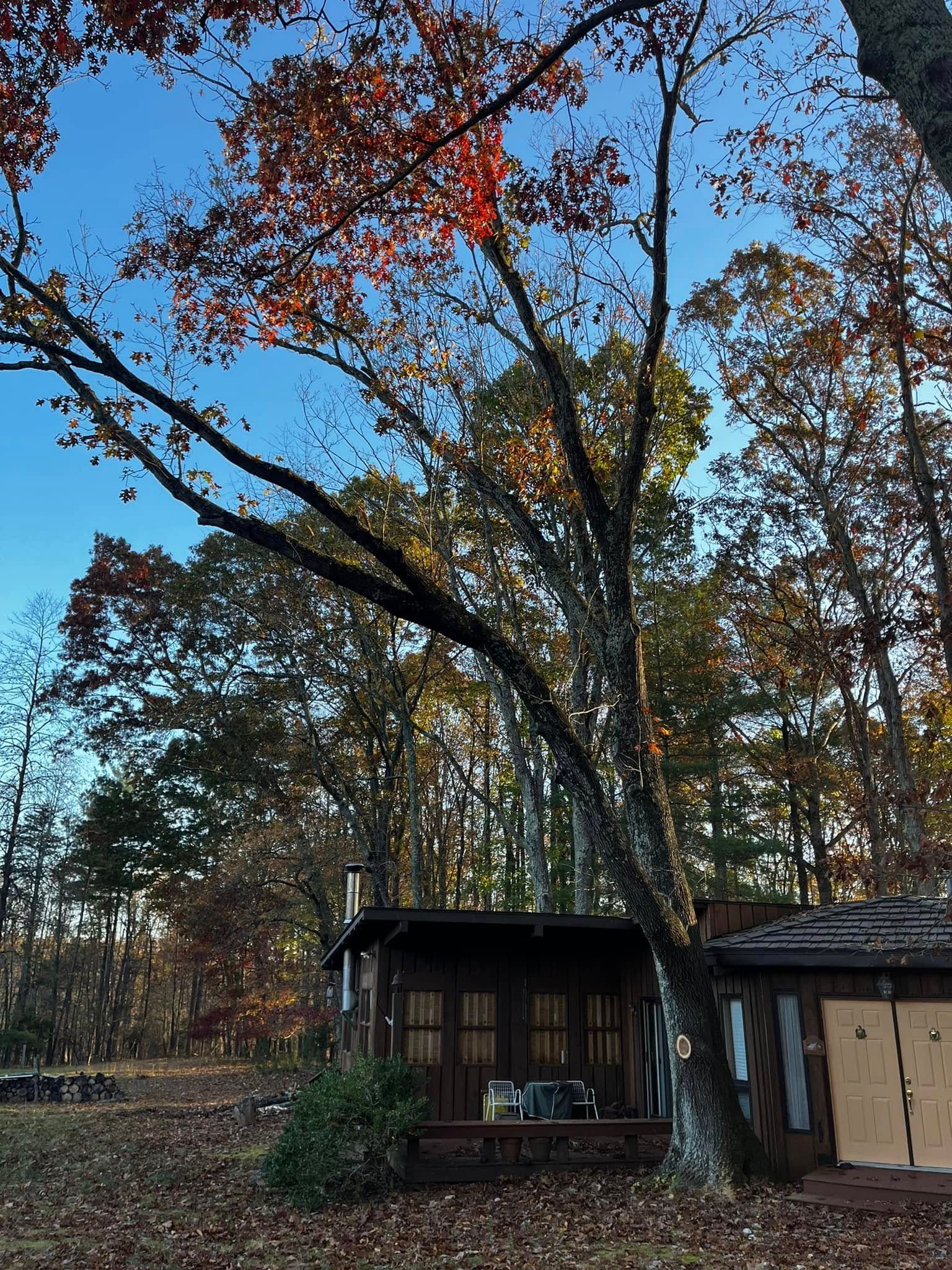 Twisted Timbers Tree Care, Shenandoah, Lexington VA, Buena vista VA, Charlottesville VA, Culpeper VA, Fredericksburg VA, Broadway VA, Grottoes VA, Massanetta Springs VA, Greenville VA, Luray, VA, Elkton, VA, Harrisonburg VA, Jollett VA, Stanley VA, Staunton VA, Comertown VA, Grove Hill VA, New Market VA, Waynesboro VA, Tenth Legion VA, Tree Removal, Tree Removal Company, Tree Removal Near Me, Emergency Tree Removal, Shenandoah Tree Removal, Waynesboro Tree Removal, Charlottesville Tree Removal, Harrisonburg Tree Removal, Lexington Tree Removal, Staunton Tree Removal, Tree Trimming, Shenandoah Tree Trimming, Waynesboro Tree Trimming, Charlottesville Tree Trimming, Harrisonburg Tree Trimming, Lexington Tree Trimming, Staunton Tree Trimming, Stump Grinding, Stump Grinding Near Me, Shenandoah Stump Grinding, Waynesboro Stump Grinding, Charlottesville Stump Grinding, Harrisonburg Stump Grinding, Lexington Stump Grinding, Staunton Stump Grinding, Lot Clearing, Lot Clearing Near Me, Shenandoah Lot Clearing, Waynesboro Lot Clearing, Charlottesville Lot Clearing, Harrisonburg Lot Clearing, Lexington Lot Clearing, Staunton Lot Clearing, Storm Damage Clean Up, Tree Risk Assessments, Tree Health Assessments
