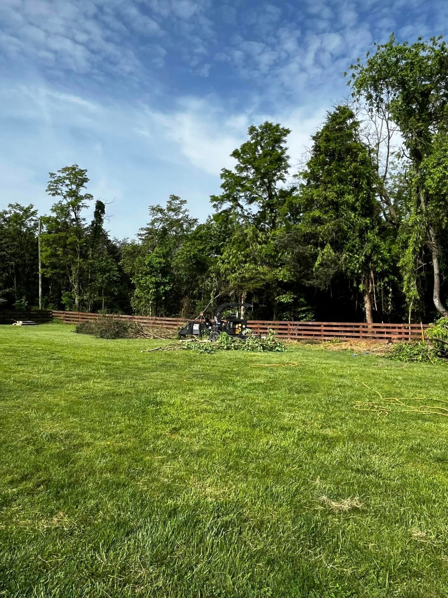 Twisted Timbers Tree Care, Shenandoah, Lexington VA, Buena vista VA, Charlottesville VA, Culpeper VA, Fredericksburg VA, Broadway VA, Grottoes VA, Massanetta Springs VA, Greenville VA, Luray, VA, Elkton, VA, Harrisonburg VA, Jollett VA, Stanley VA, Staunton VA, Comertown VA, Grove Hill VA, New Market VA, Waynesboro VA, Tenth Legion VA, Tree Removal, Tree Removal Company, Tree Removal Near Me, Emergency Tree Removal, Shenandoah Tree Removal, Waynesboro Tree Removal, Charlottesville Tree Removal, Harrisonburg Tree Removal, Lexington Tree Removal, Staunton Tree Removal, Tree Trimming, Shenandoah Tree Trimming, Waynesboro Tree Trimming, Charlottesville Tree Trimming, Harrisonburg Tree Trimming, Lexington Tree Trimming, Staunton Tree Trimming, Stump Grinding, Stump Grinding Near Me, Shenandoah Stump Grinding, Waynesboro Stump Grinding, Charlottesville Stump Grinding, Harrisonburg Stump Grinding, Lexington Stump Grinding, Staunton Stump Grinding, Lot Clearing, Lot Clearing Near Me, Shenandoah Lot Clearing, Waynesboro Lot Clearing, Charlottesville Lot Clearing, Harrisonburg Lot Clearing, Lexington Lot Clearing, Staunton Lot Clearing, Storm Damage Clean Up, Tree Risk Assessments, Tree Health Assessments