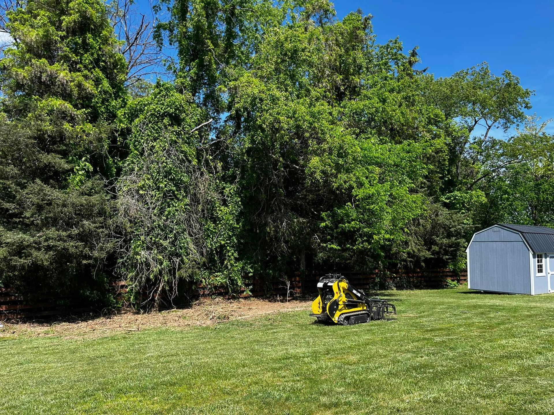 Twisted Timbers Tree Care, Shenandoah, Lexington VA, Buena vista VA, Charlottesville VA, Culpeper VA, Fredericksburg VA, Broadway VA, Grottoes VA, Massanetta Springs VA, Greenville VA, Luray, VA, Elkton, VA, Harrisonburg VA, Jollett VA, Stanley VA, Staunton VA, Comertown VA, Grove Hill VA, New Market VA, Waynesboro VA, Tenth Legion VA, Tree Removal, Tree Removal Company, Tree Removal Near Me, Emergency Tree Removal, Shenandoah Tree Removal, Waynesboro Tree Removal, Charlottesville Tree Removal, Harrisonburg Tree Removal, Lexington Tree Removal, Staunton Tree Removal, Tree Trimming, Shenandoah Tree Trimming, Waynesboro Tree Trimming, Charlottesville Tree Trimming, Harrisonburg Tree Trimming, Lexington Tree Trimming, Staunton Tree Trimming, Stump Grinding, Stump Grinding Near Me, Shenandoah Stump Grinding, Waynesboro Stump Grinding, Charlottesville Stump Grinding, Harrisonburg Stump Grinding, Lexington Stump Grinding, Staunton Stump Grinding, Lot Clearing, Lot Clearing Near Me, Shenandoah Lot Clearing, Waynesboro Lot Clearing, Charlottesville Lot Clearing, Harrisonburg Lot Clearing, Lexington Lot Clearing, Staunton Lot Clearing, Storm Damage Clean Up, Tree Risk Assessments, Tree Health Assessments
