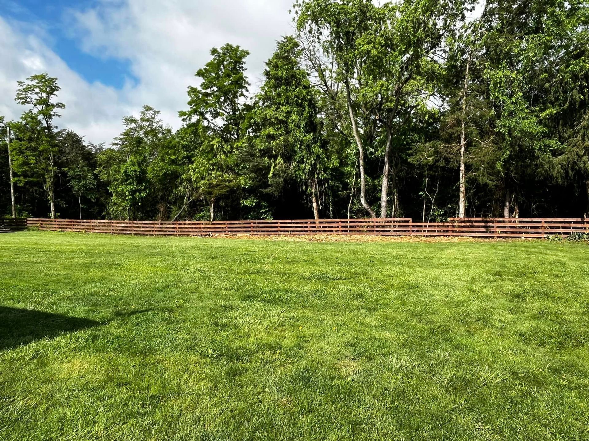 Twisted Timbers Tree Care, Shenandoah, Lexington VA, Buena vista VA, Charlottesville VA, Culpeper VA, Fredericksburg VA, Broadway VA, Grottoes VA, Massanetta Springs VA, Greenville VA, Luray, VA, Elkton, VA, Harrisonburg VA, Jollett VA, Stanley VA, Staunton VA, Comertown VA, Grove Hill VA, New Market VA, Waynesboro VA, Tenth Legion VA, Tree Removal, Tree Removal Company, Tree Removal Near Me, Emergency Tree Removal, Shenandoah Tree Removal, Waynesboro Tree Removal, Charlottesville Tree Removal, Harrisonburg Tree Removal, Lexington Tree Removal, Staunton Tree Removal, Tree Trimming, Shenandoah Tree Trimming, Waynesboro Tree Trimming, Charlottesville Tree Trimming, Harrisonburg Tree Trimming, Lexington Tree Trimming, Staunton Tree Trimming, Stump Grinding, Stump Grinding Near Me, Shenandoah Stump Grinding, Waynesboro Stump Grinding, Charlottesville Stump Grinding, Harrisonburg Stump Grinding, Lexington Stump Grinding, Staunton Stump Grinding, Lot Clearing, Lot Clearing Near Me, Shenandoah Lot Clearing, Waynesboro Lot Clearing, Charlottesville Lot Clearing, Harrisonburg Lot Clearing, Lexington Lot Clearing, Staunton Lot Clearing, Storm Damage Clean Up, Tree Risk Assessments, Tree Health Assessments