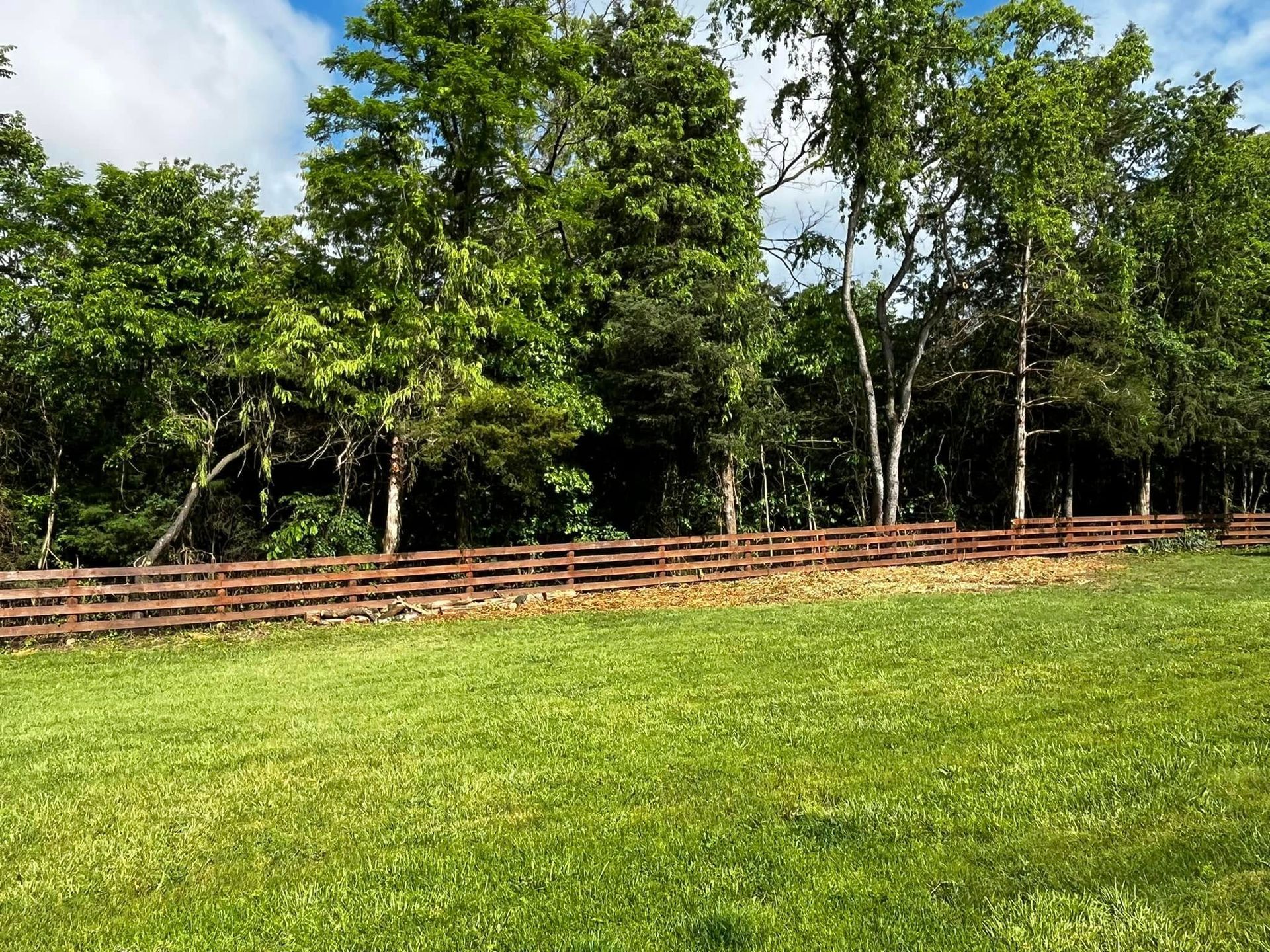 Twisted Timbers Tree Care, Shenandoah, Lexington VA, Buena vista VA, Charlottesville VA, Culpeper VA, Fredericksburg VA, Broadway VA, Grottoes VA, Massanetta Springs VA, Greenville VA, Luray, VA, Elkton, VA, Harrisonburg VA, Jollett VA, Stanley VA, Staunton VA, Comertown VA, Grove Hill VA, New Market VA, Waynesboro VA, Tenth Legion VA, Tree Removal, Tree Removal Company, Tree Removal Near Me, Emergency Tree Removal, Shenandoah Tree Removal, Waynesboro Tree Removal, Charlottesville Tree Removal, Harrisonburg Tree Removal, Lexington Tree Removal, Staunton Tree Removal, Tree Trimming, Shenandoah Tree Trimming, Waynesboro Tree Trimming, Charlottesville Tree Trimming, Harrisonburg Tree Trimming, Lexington Tree Trimming, Staunton Tree Trimming, Stump Grinding, Stump Grinding Near Me, Shenandoah Stump Grinding, Waynesboro Stump Grinding, Charlottesville Stump Grinding, Harrisonburg Stump Grinding, Lexington Stump Grinding, Staunton Stump Grinding, Lot Clearing, Lot Clearing Near Me, Shenandoah Lot Clearing, Waynesboro Lot Clearing, Charlottesville Lot Clearing, Harrisonburg Lot Clearing, Lexington Lot Clearing, Staunton Lot Clearing, Storm Damage Clean Up, Tree Risk Assessments, Tree Health Assessments