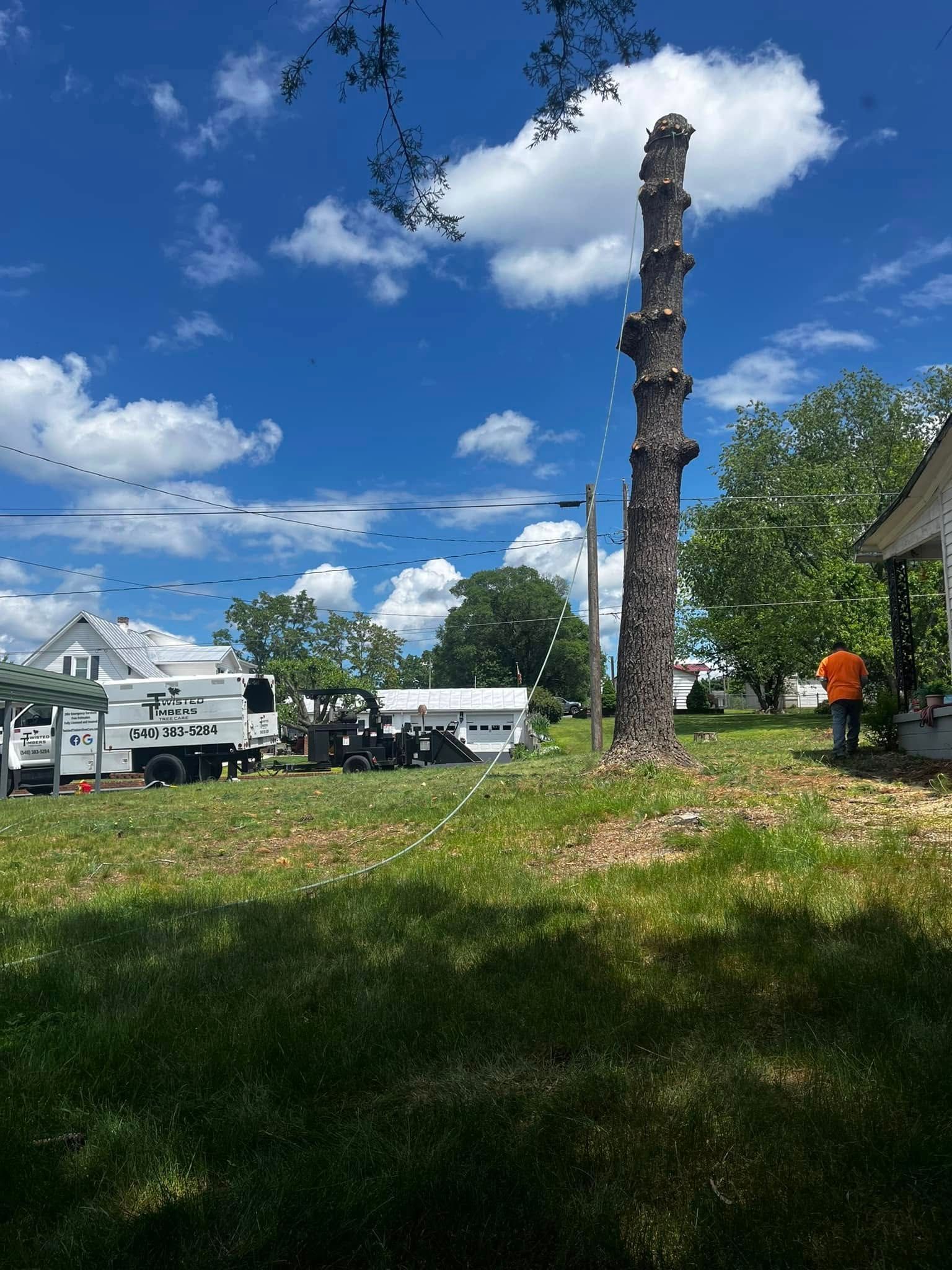 Twisted Timbers Tree Care, Shenandoah, Lexington VA, Buena vista VA, Charlottesville VA, Culpeper VA, Fredericksburg VA, Broadway VA, Grottoes VA, Massanetta Springs VA, Greenville VA, Luray, VA, Elkton, VA, Harrisonburg VA, Jollett VA, Stanley VA, Staunton VA, Comertown VA, Grove Hill VA, New Market VA, Waynesboro VA, Tenth Legion VA, Tree Removal, Tree Removal Company, Tree Removal Near Me, Emergency Tree Removal, Shenandoah Tree Removal, Waynesboro Tree Removal, Charlottesville Tree Removal, Harrisonburg Tree Removal, Lexington Tree Removal, Staunton Tree Removal, Tree Trimming, Shenandoah Tree Trimming, Waynesboro Tree Trimming, Charlottesville Tree Trimming, Harrisonburg Tree Trimming, Lexington Tree Trimming, Staunton Tree Trimming, Stump Grinding, Stump Grinding Near Me, Shenandoah Stump Grinding, Waynesboro Stump Grinding, Charlottesville Stump Grinding, Harrisonburg Stump Grinding, Lexington Stump Grinding, Staunton Stump Grinding, Lot Clearing, Lot Clearing Near Me, Shenandoah Lot Clearing, Waynesboro Lot Clearing, Charlottesville Lot Clearing, Harrisonburg Lot Clearing, Lexington Lot Clearing, Staunton Lot Clearing, Storm Damage Clean Up, Tree Risk Assessments, Tree Health Assessments