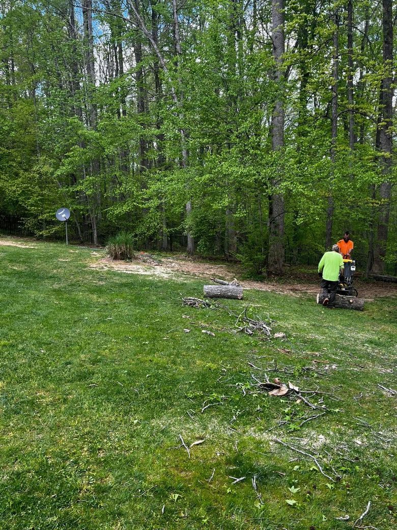 Twisted Timbers Tree Care, Shenandoah, Lexington VA, Buena vista VA, Charlottesville VA, Culpeper VA, Fredericksburg VA, Broadway VA, Grottoes VA, Massanetta Springs VA, Greenville VA, Luray, VA, Elkton, VA, Harrisonburg VA, Jollett VA, Stanley VA, Staunton VA, Comertown VA, Grove Hill VA, New Market VA, Waynesboro VA, Tenth Legion VA, Tree Removal, Tree Removal Company, Tree Removal Near Me, Emergency Tree Removal, Shenandoah Tree Removal, Waynesboro Tree Removal, Charlottesville Tree Removal, Harrisonburg Tree Removal, Lexington Tree Removal, Staunton Tree Removal, Tree Trimming, Shenandoah Tree Trimming, Waynesboro Tree Trimming, Charlottesville Tree Trimming, Harrisonburg Tree Trimming, Lexington Tree Trimming, Staunton Tree Trimming, Stump Grinding, Stump Grinding Near Me, Shenandoah Stump Grinding, Waynesboro Stump Grinding, Charlottesville Stump Grinding, Harrisonburg Stump Grinding, Lexington Stump Grinding, Staunton Stump Grinding, Lot Clearing, Lot Clearing Near Me, Shenandoah Lot Clearing, Waynesboro Lot Clearing, Charlottesville Lot Clearing, Harrisonburg Lot Clearing, Lexington Lot Clearing, Staunton Lot Clearing, Storm Damage Clean Up, Tree Risk Assessments, Tree Health Assessments