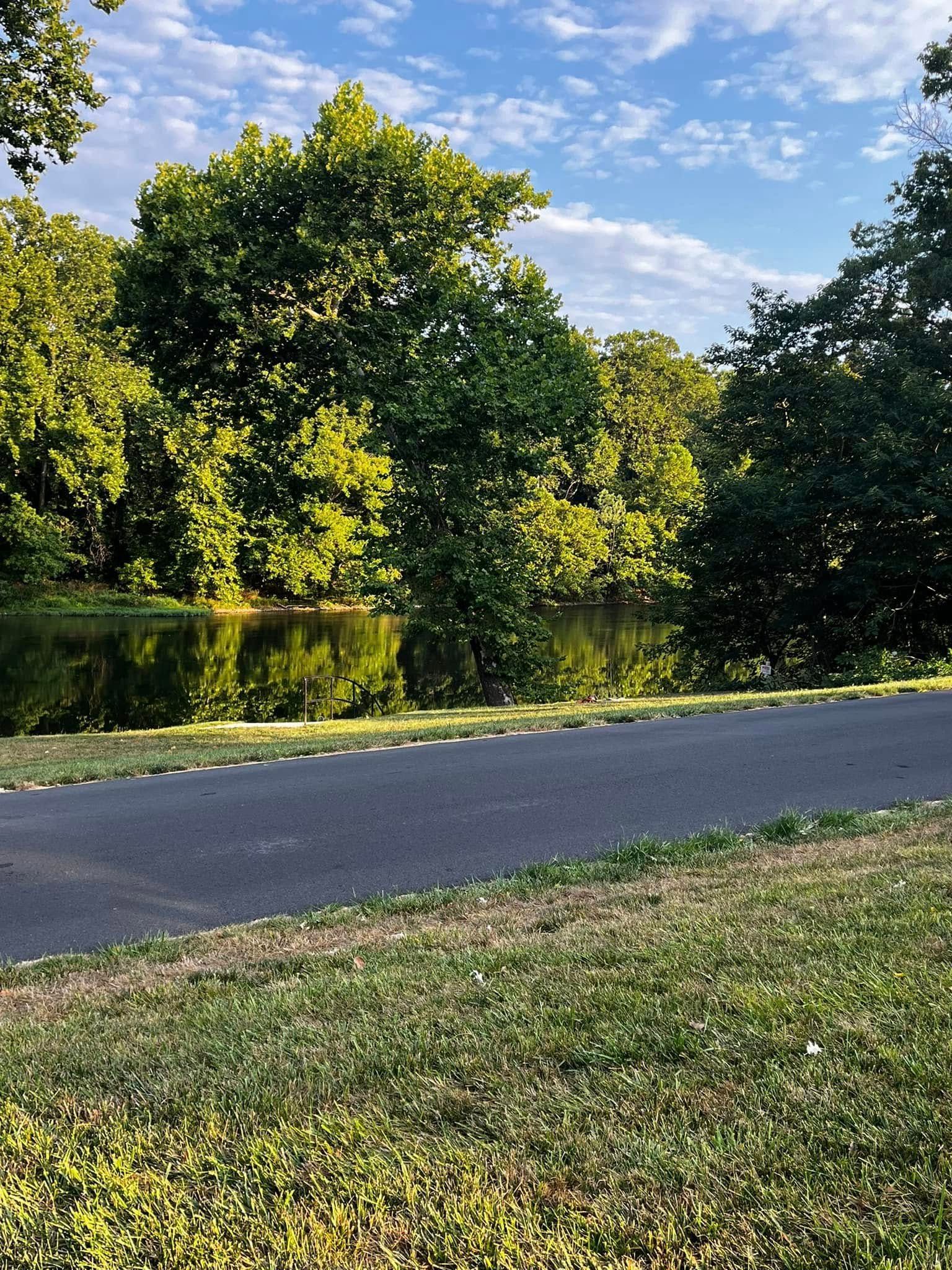 Twisted Timbers Tree Care, Shenandoah, Lexington VA, Buena vista VA, Charlottesville VA, Culpeper VA, Fredericksburg VA, Broadway VA, Grottoes VA, Massanetta Springs VA, Greenville VA, Luray, VA, Elkton, VA, Harrisonburg VA, Jollett VA, Stanley VA, Staunton VA, Comertown VA, Grove Hill VA, New Market VA, Waynesboro VA, Tenth Legion VA, Tree Removal, Tree Removal Company, Tree Removal Near Me, Emergency Tree Removal, Shenandoah Tree Removal, Waynesboro Tree Removal, Charlottesville Tree Removal, Harrisonburg Tree Removal, Lexington Tree Removal, Staunton Tree Removal, Tree Trimming, Shenandoah Tree Trimming, Waynesboro Tree Trimming, Charlottesville Tree Trimming, Harrisonburg Tree Trimming, Lexington Tree Trimming, Staunton Tree Trimming, Stump Grinding, Stump Grinding Near Me, Shenandoah Stump Grinding, Waynesboro Stump Grinding, Charlottesville Stump Grinding, Harrisonburg Stump Grinding, Lexington Stump Grinding, Staunton Stump Grinding, Lot Clearing, Lot Clearing Near Me, Shenandoah Lot Clearing, Waynesboro Lot Clearing, Charlottesville Lot Clearing, Harrisonburg Lot Clearing, Lexington Lot Clearing, Staunton Lot Clearing, Storm Damage Clean Up, Tree Risk Assessments, Tree Health Assessments